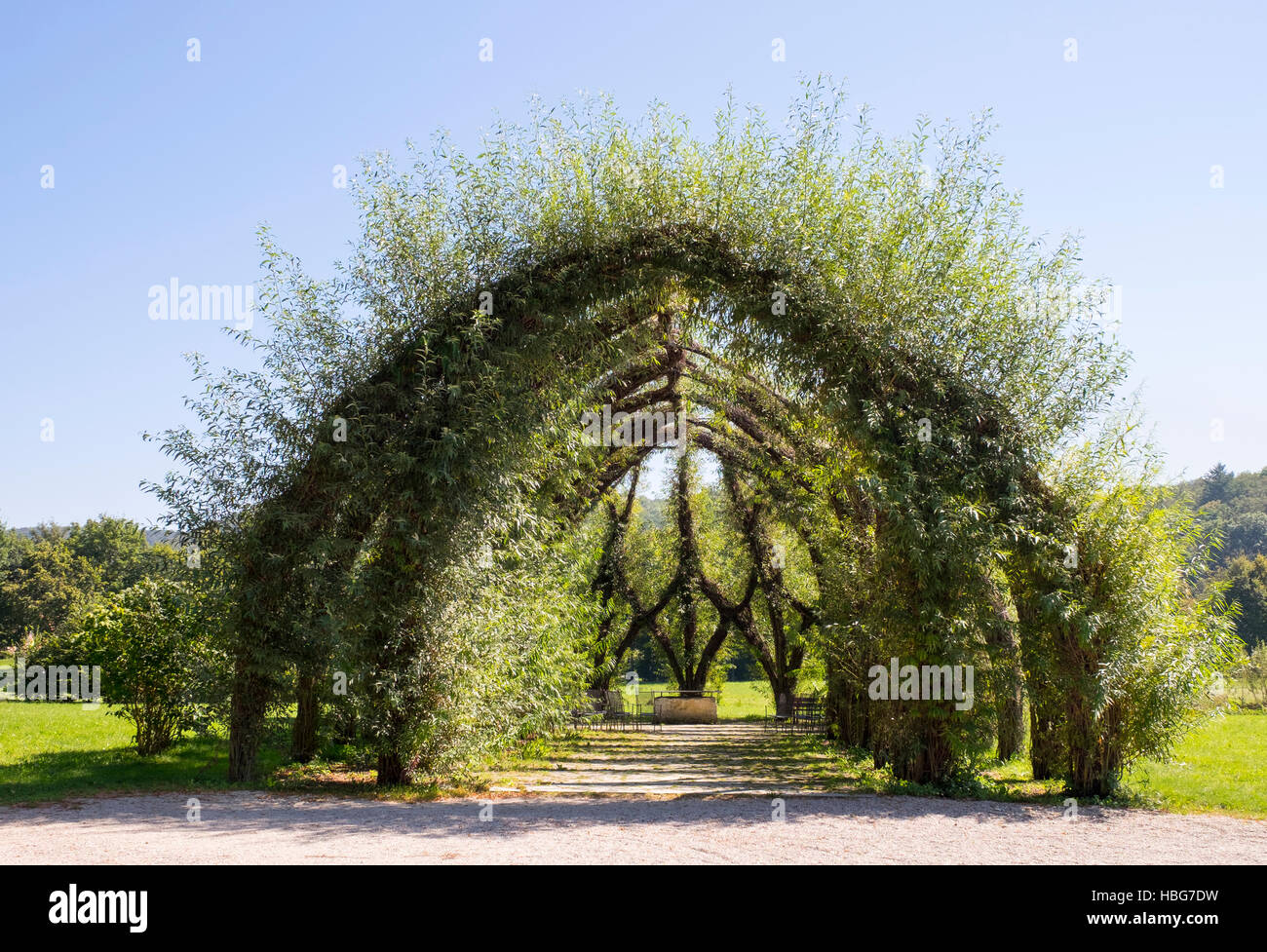 Weidenkirche, living willow structure, church, Pappenheim, Altmühltal, Middle Franconia, Franconia, Bavaria, Germany Stock Photo