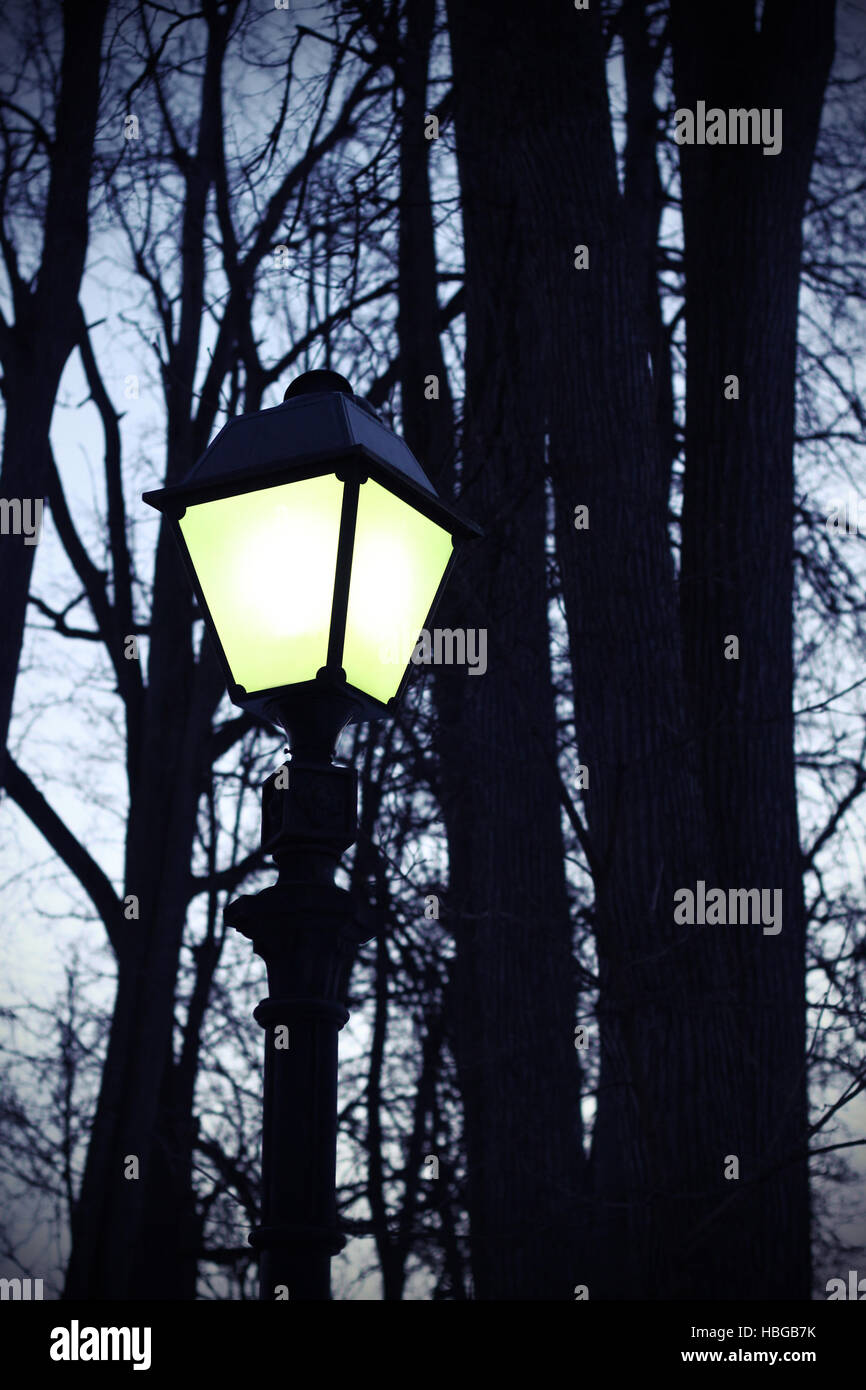 Silhouettes of trees hi-res stock photography and images - Alamy