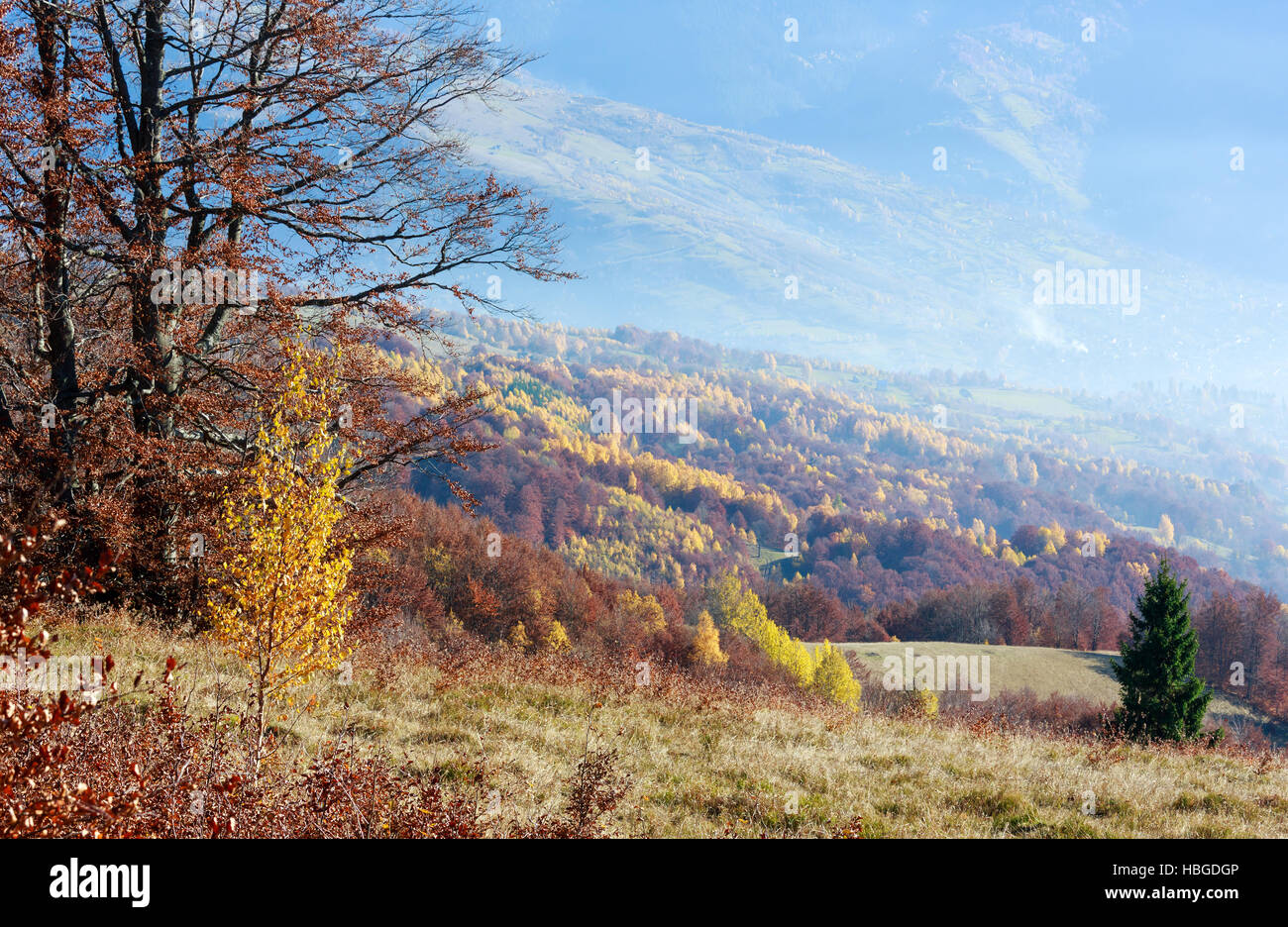 Golden autumn in mountain Stock Photo - Alamy