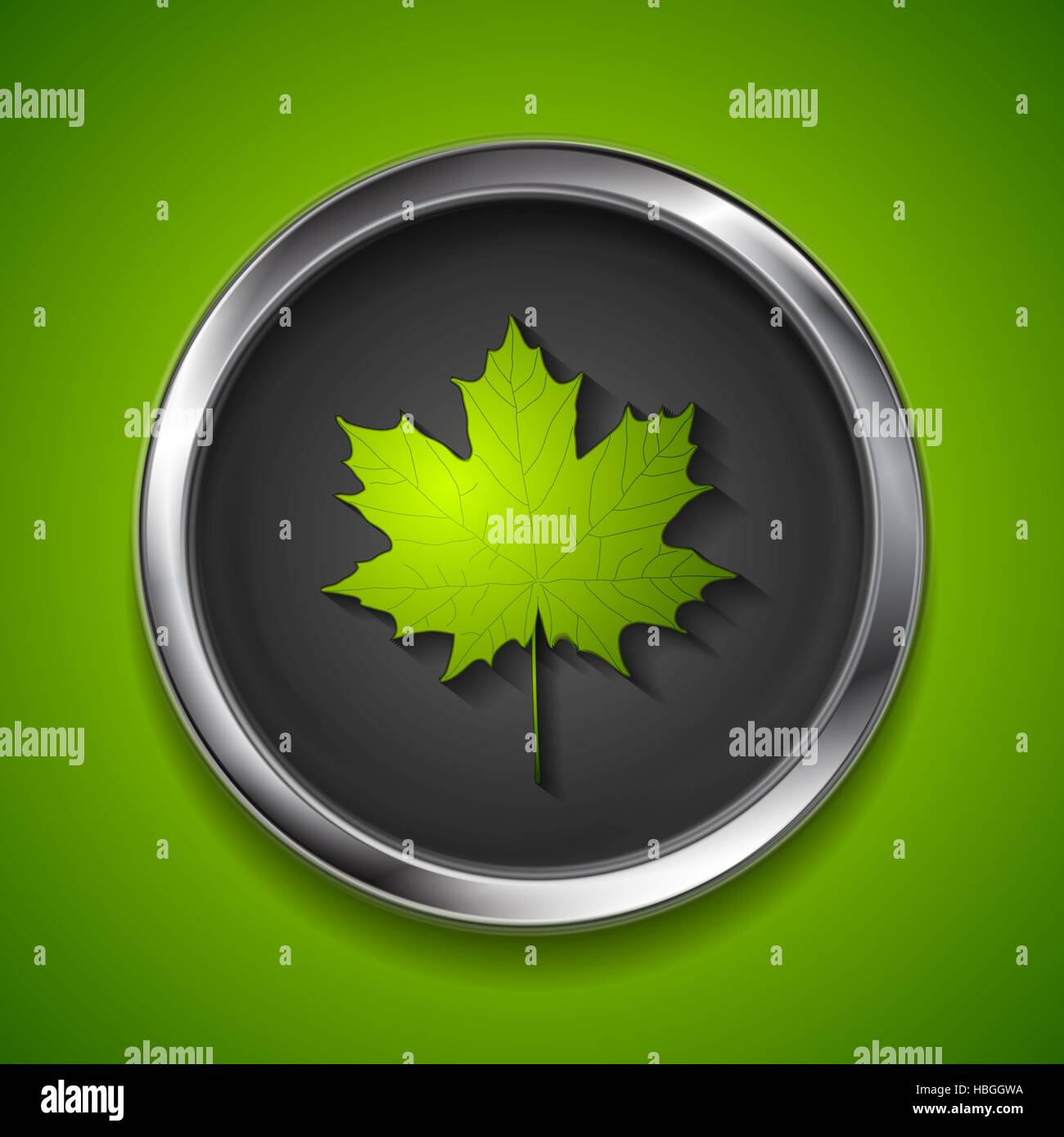 Green summer maple leaf on metal button Stock Photo