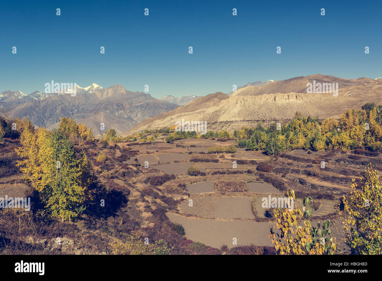 Empty fields after harvest Stock Photo - Alamy