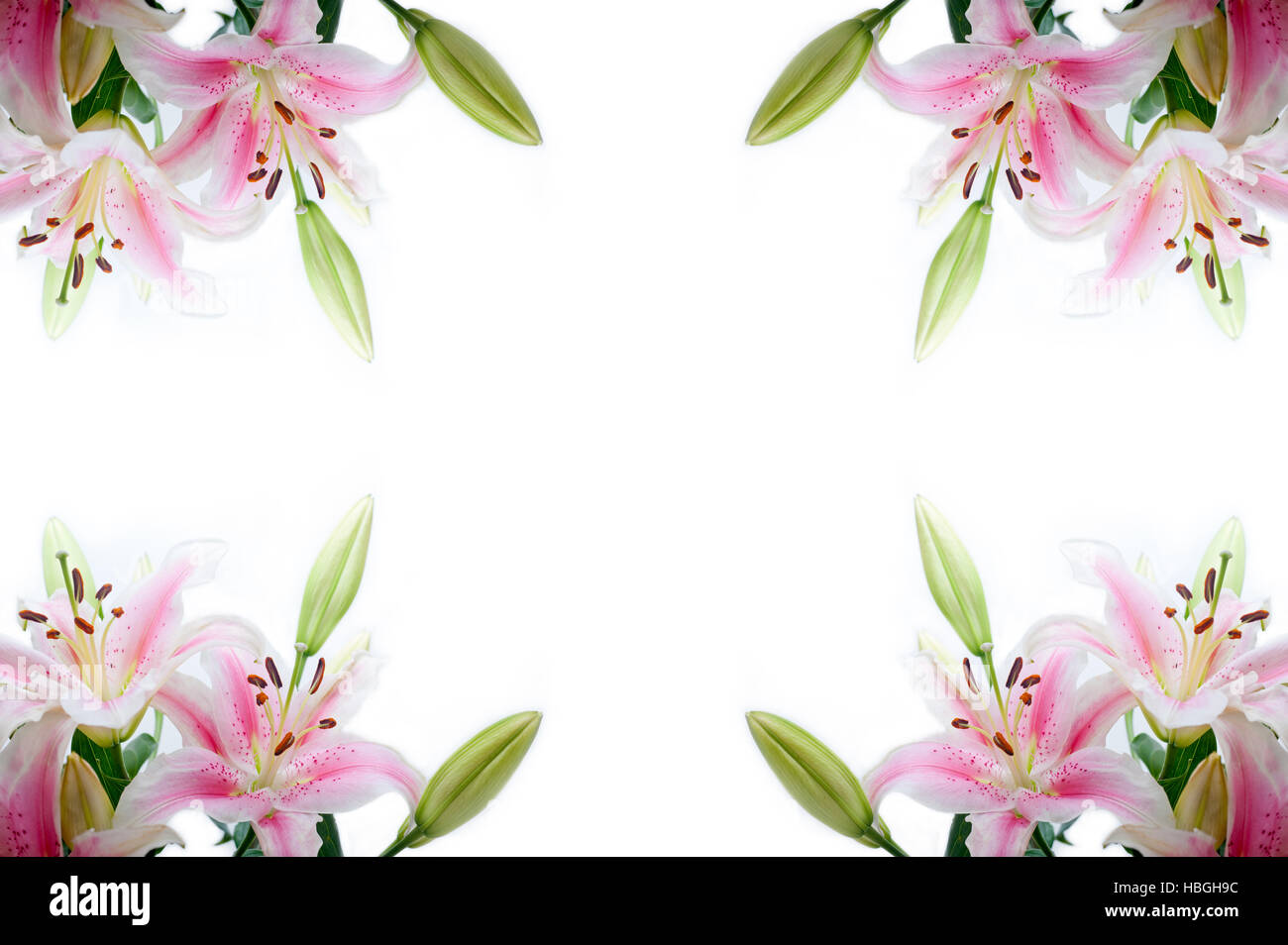 Lily corner hi-res stock photography and images - Alamy