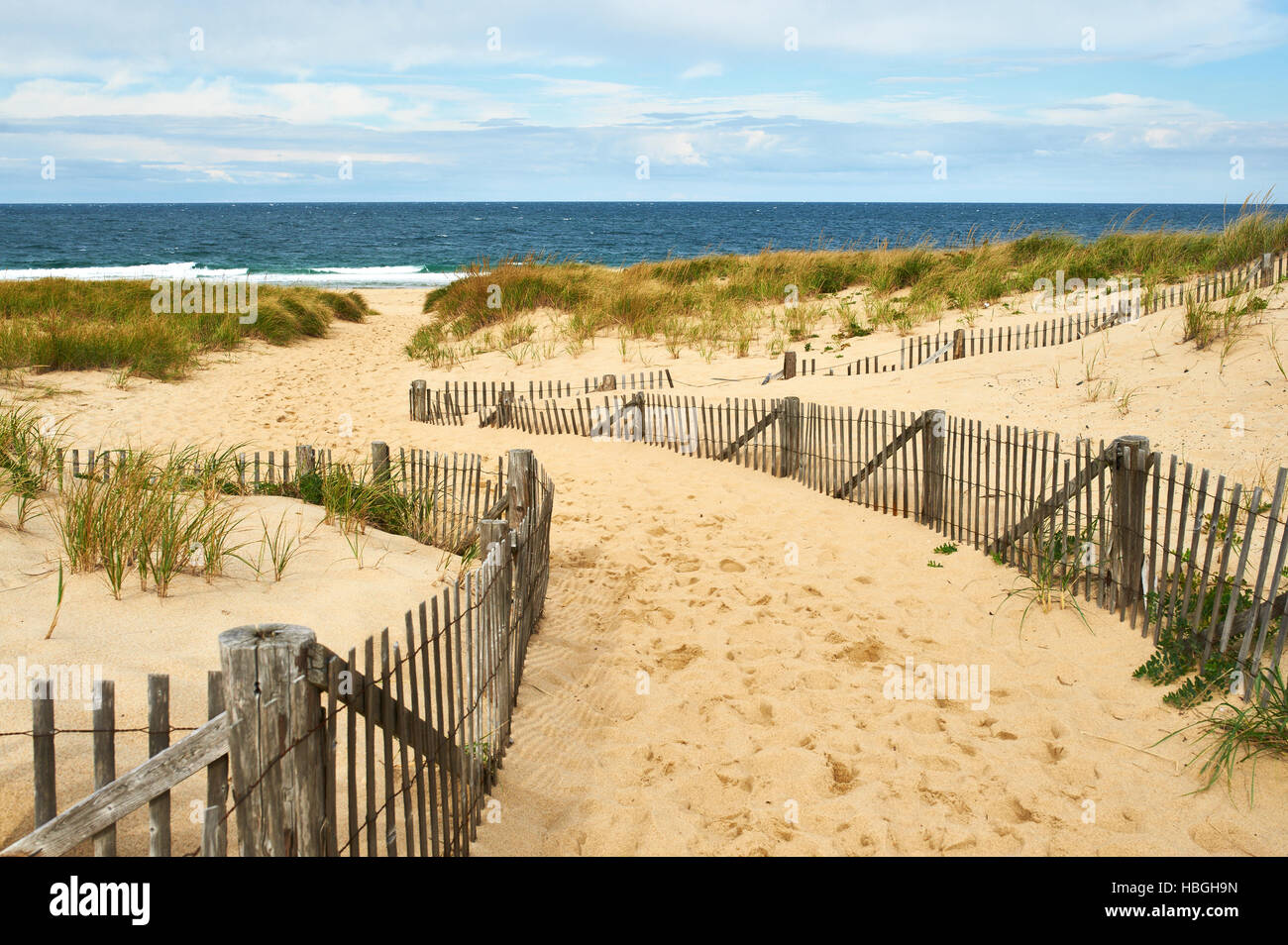Path way to the beach at Cape Cod Stock Photo - Alamy
