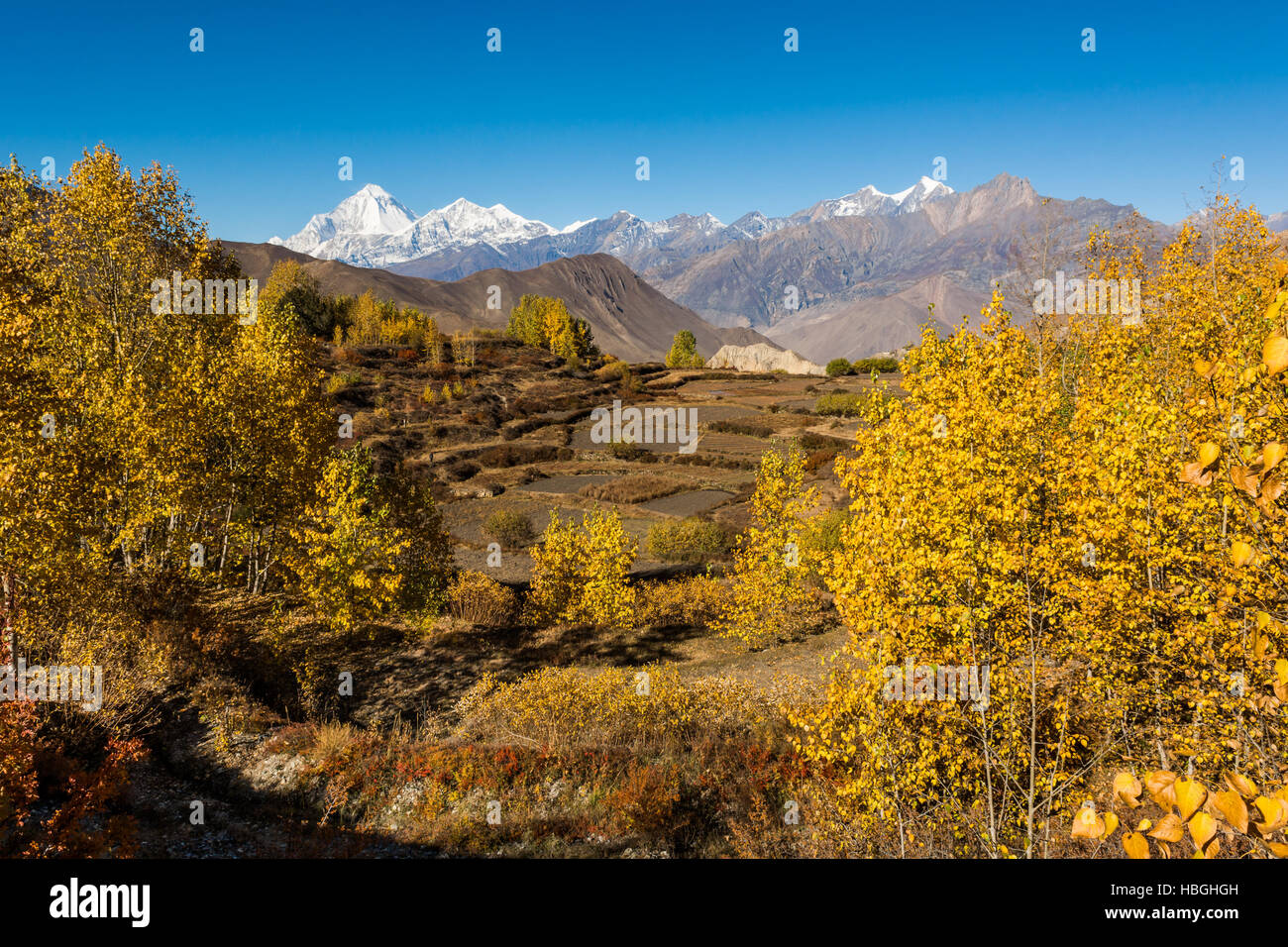 Empty fields after harvest Stock Photo - Alamy