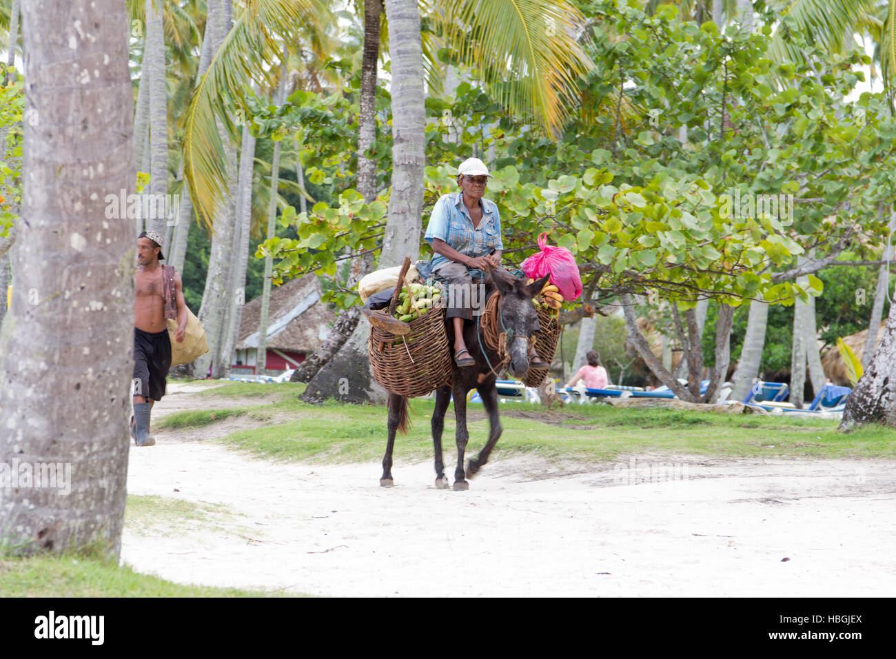 Old man on donkey Stock Photo - Alamy
