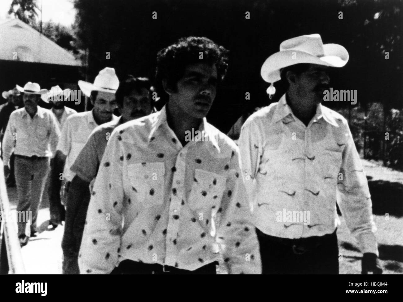 ALAMBRISTA!, Domingo Ambriz, 1977 Stock Photo