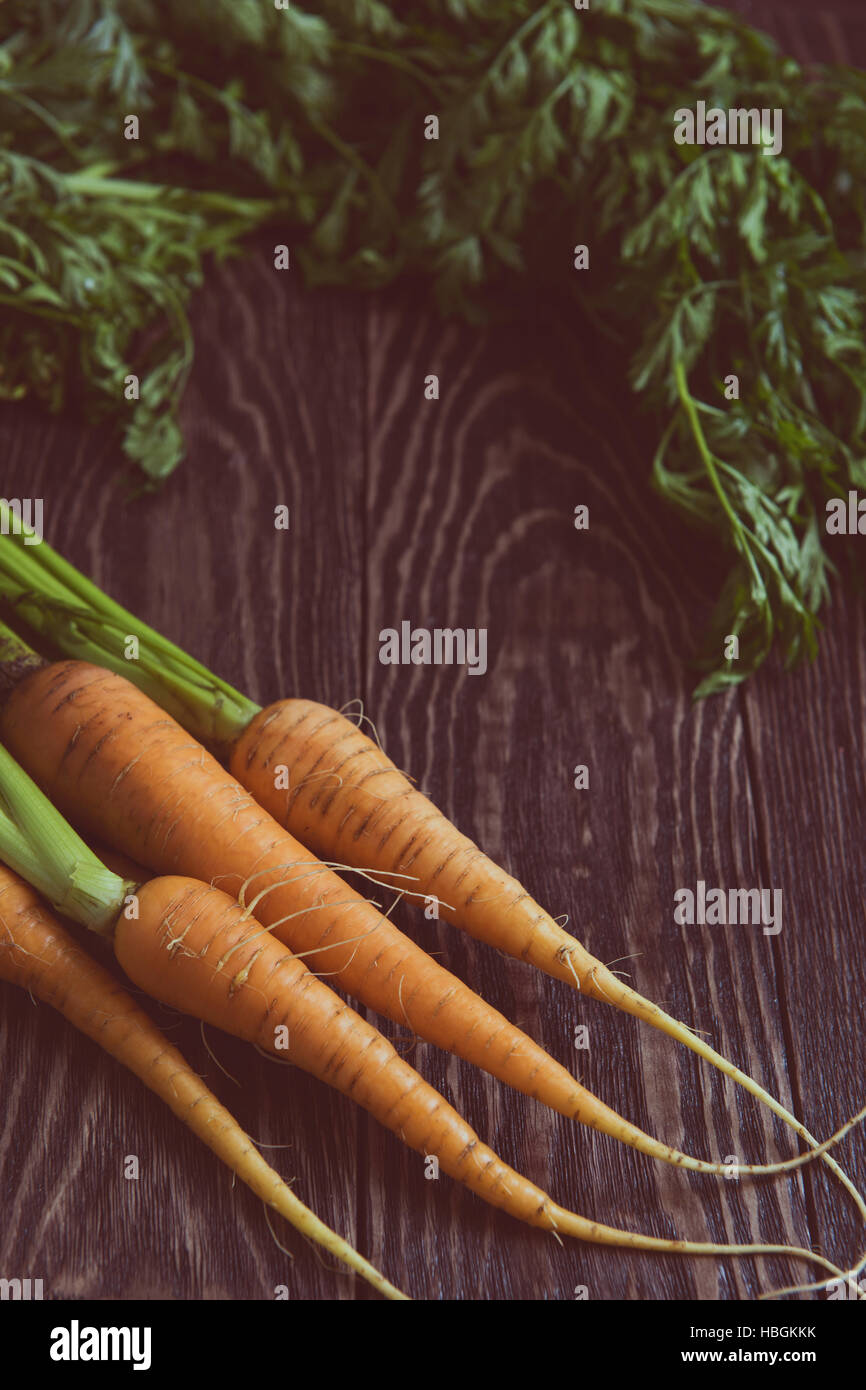 Freshly grown carrots Stock Photo Alamy