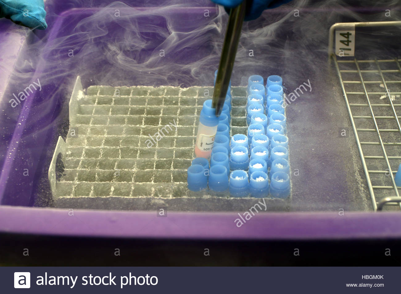 Liquid Nitrogen Stock Photos & Liquid Nitrogen Stock Images Alamy