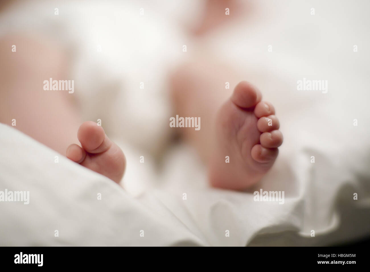 Baby feet Stock Photo