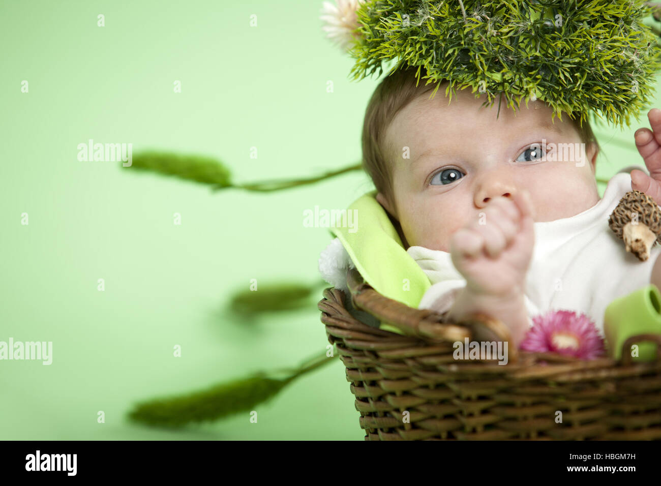 Baby Portrait Stock Photo