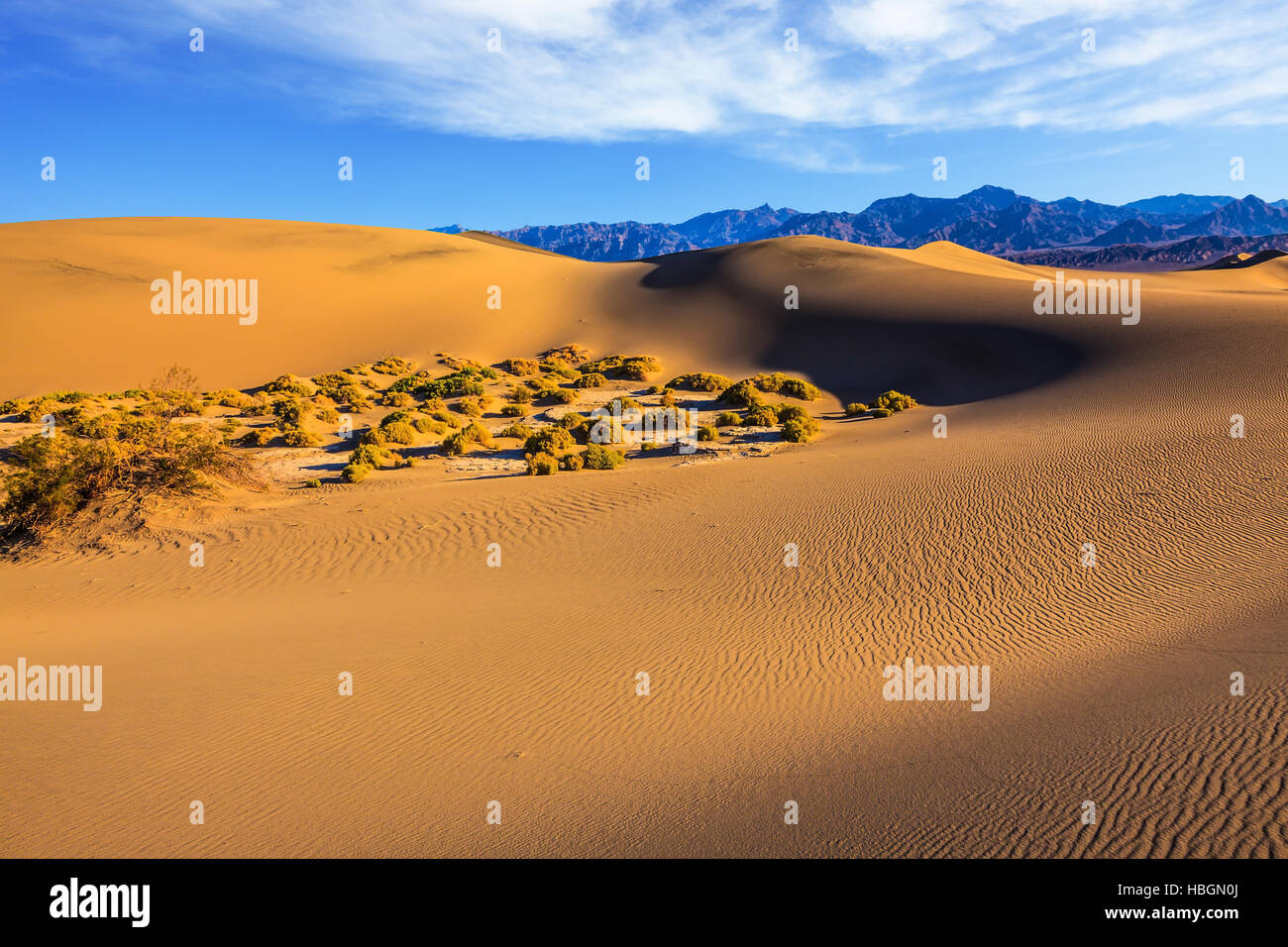 Small Bushes Grow In The Valleys Stock Photo Alamy