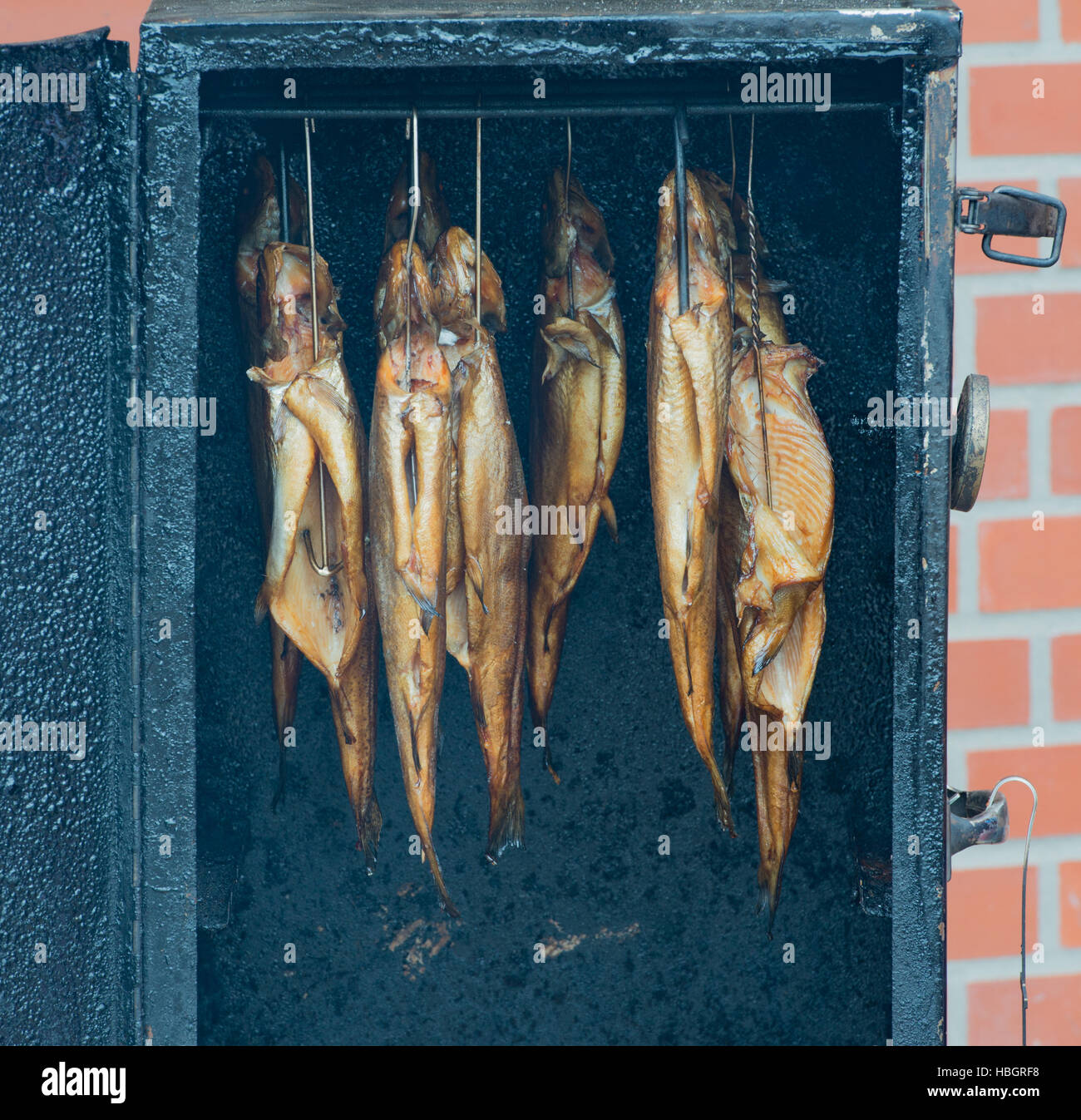Fish smoked trout and cook in a smoker Stock Photo Alamy