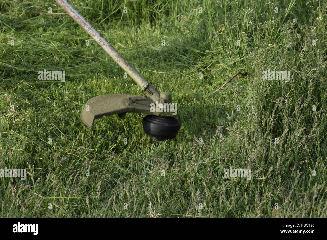 Mowing green grass using a fishing line trimmer Stock Photo Alamy