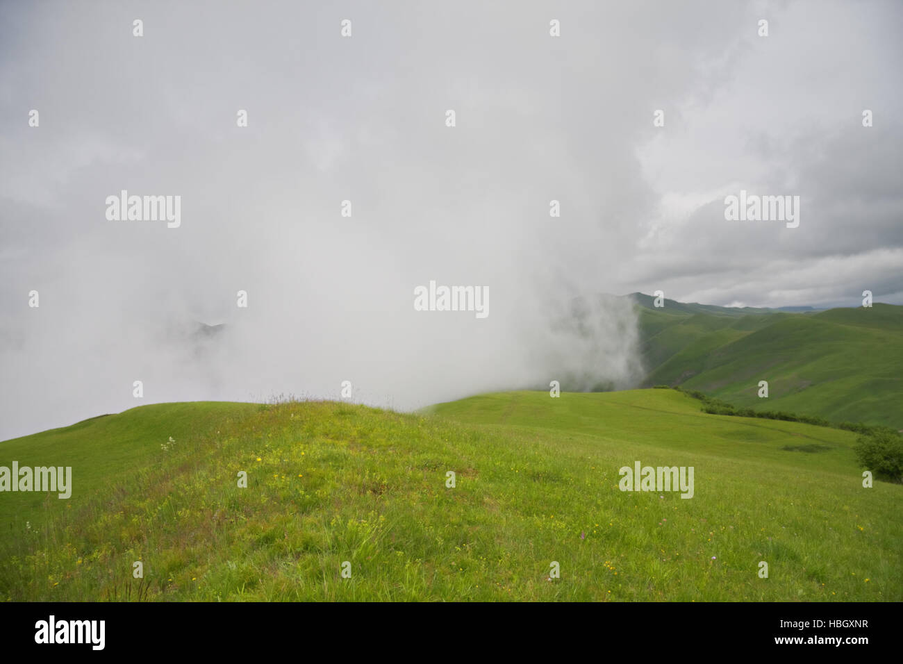 Foggy day in mountains Stock Photo