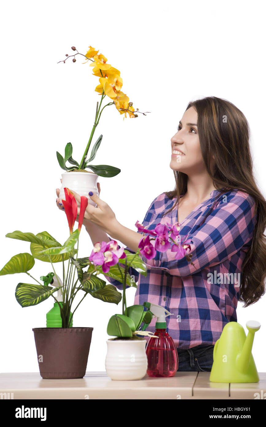Young woman taking care of home plants Stock Photo Alamy
