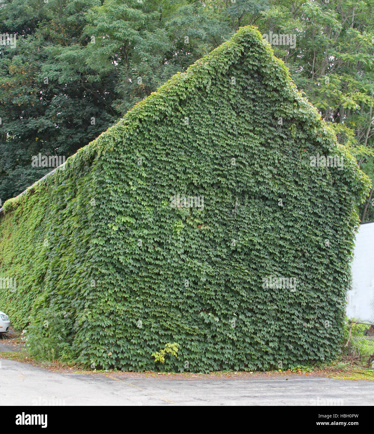 Structure totally covered with ivy along side the Erie Canal in Lockport, New York Stock Photo