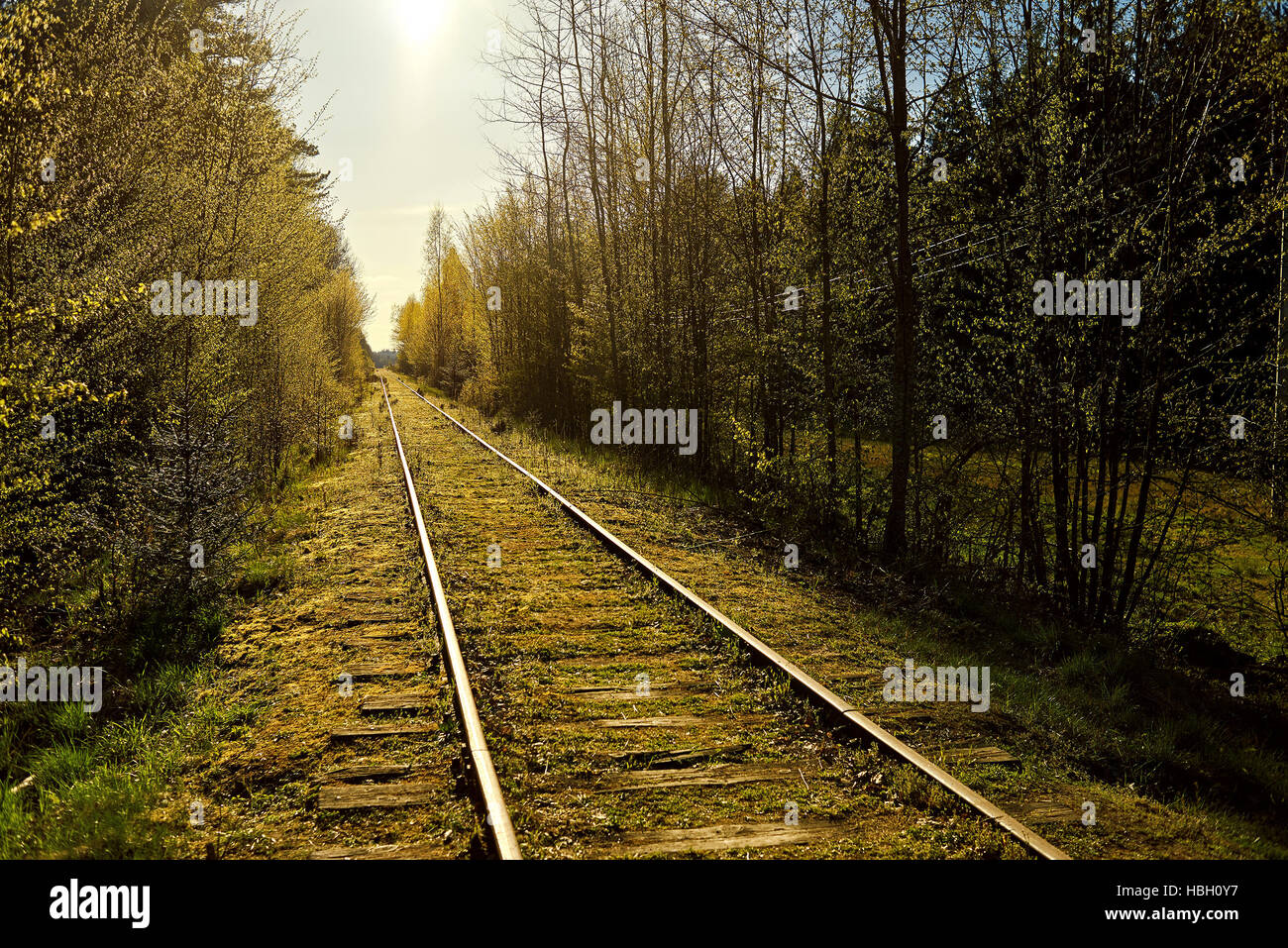 Image of an empty railroad. Railway tracks in a rural scene. Stock Photo