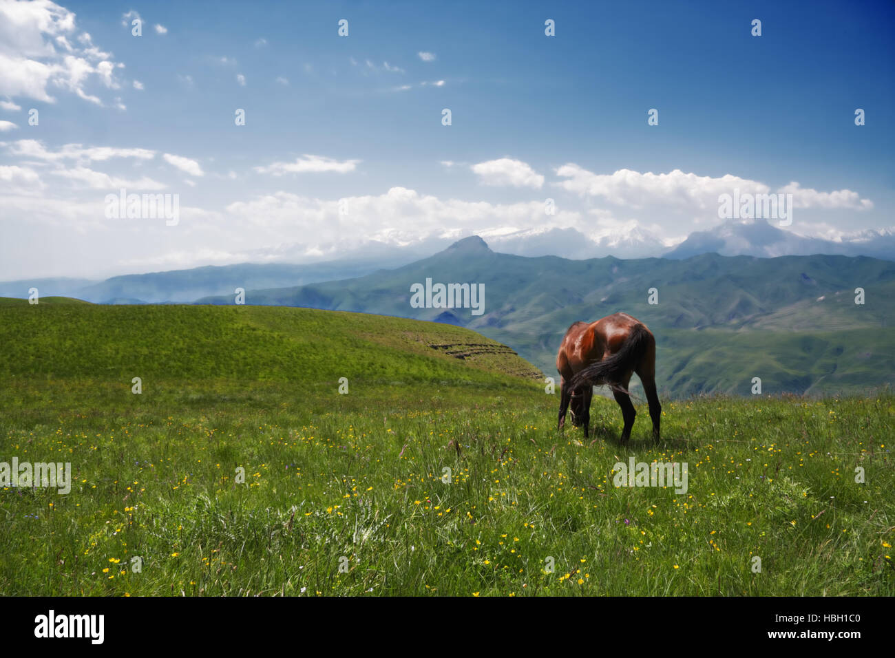 Mountain landscape with a horse Stock Photo