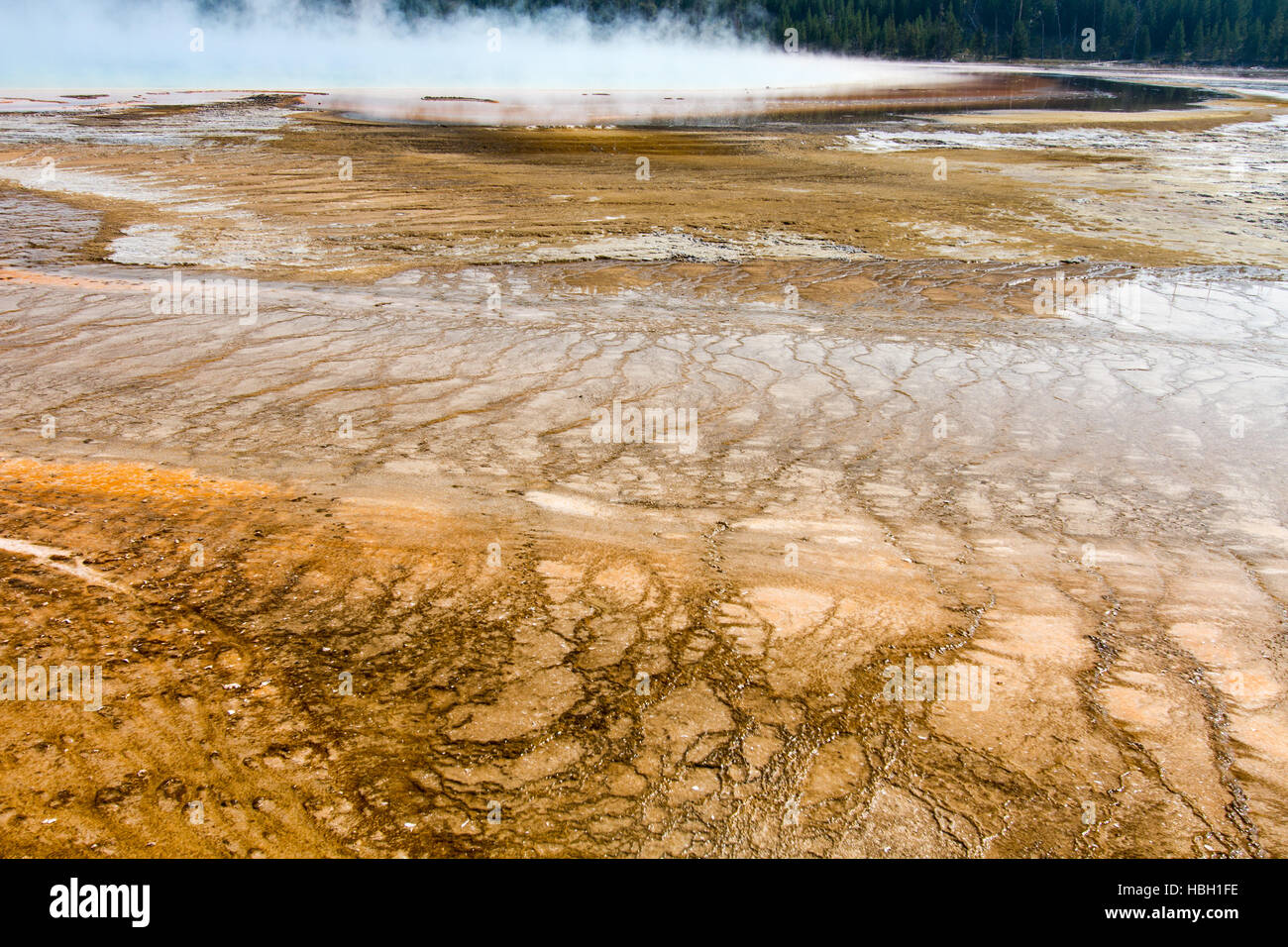 36 spring landscape hi-res stock photography and images - Alamy