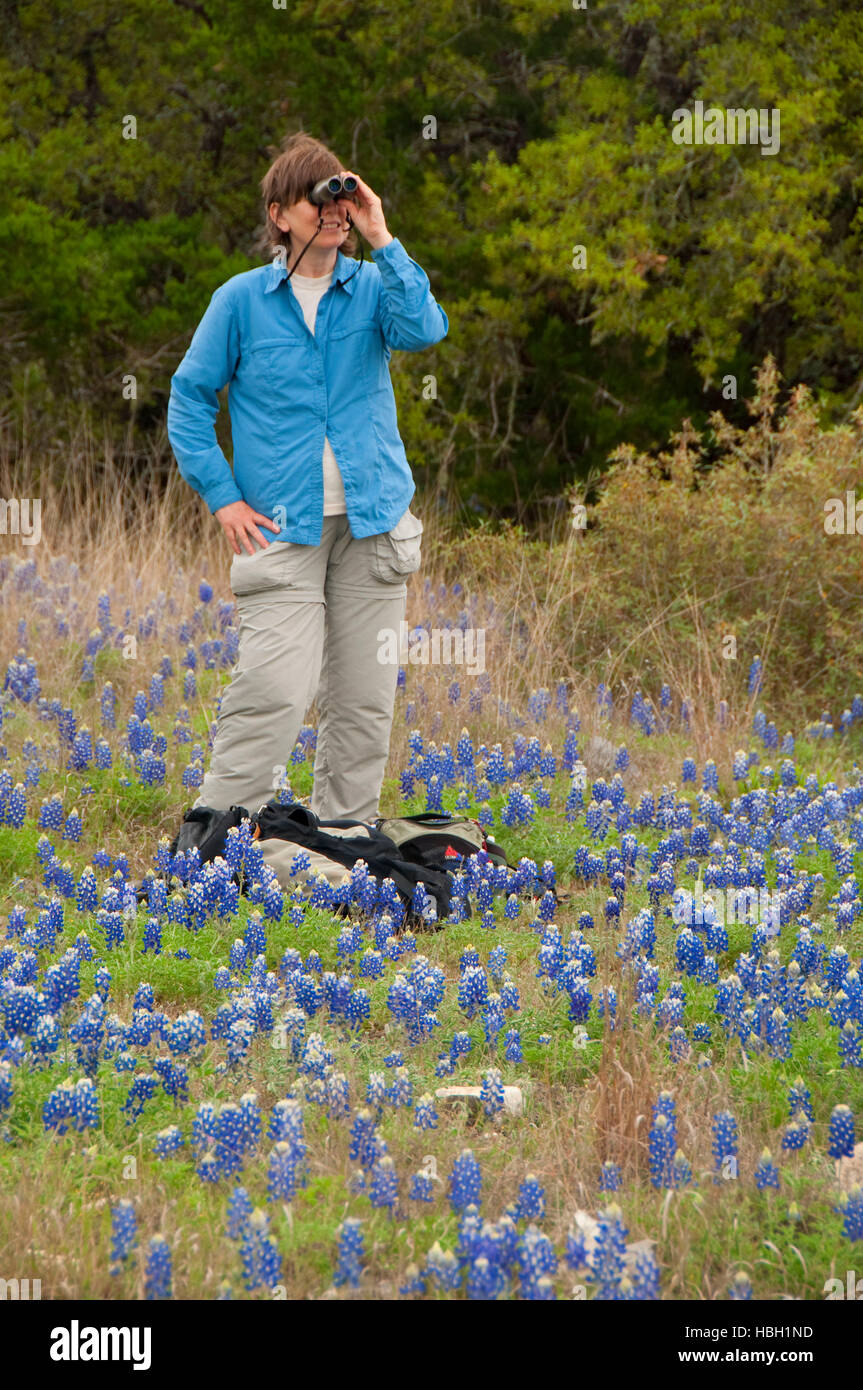 Birder in Texas bluebonnets, Kerr Wildlife Management Area, Texas Stock Photo