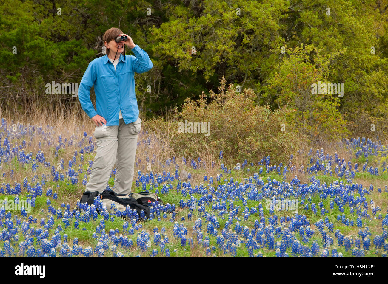 Birder in Texas bluebonnets, Kerr Wildlife Management Area, Texas Stock Photo