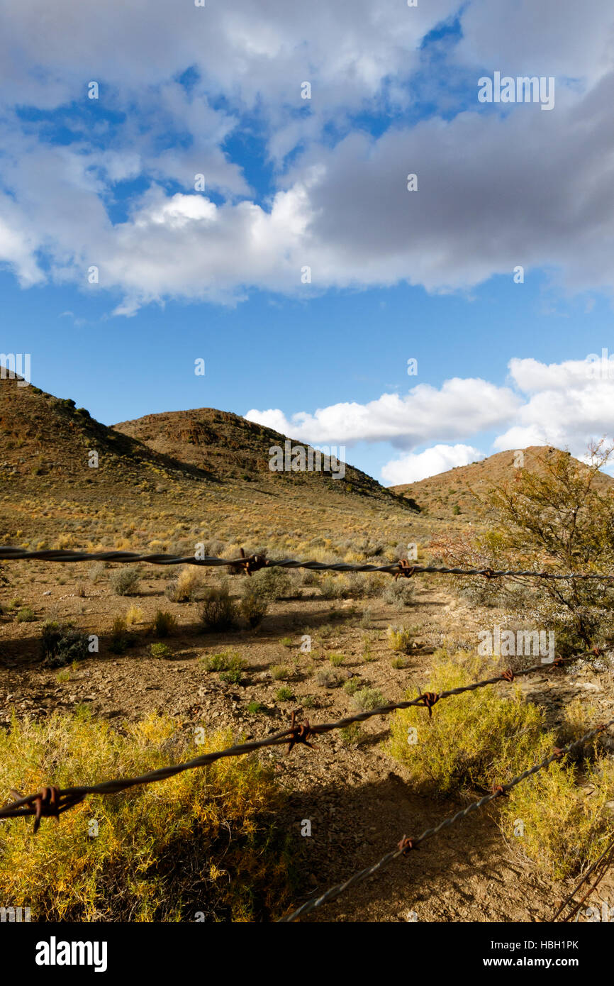 Barbed Wire - Klaarstroom Landscape Stock Photo