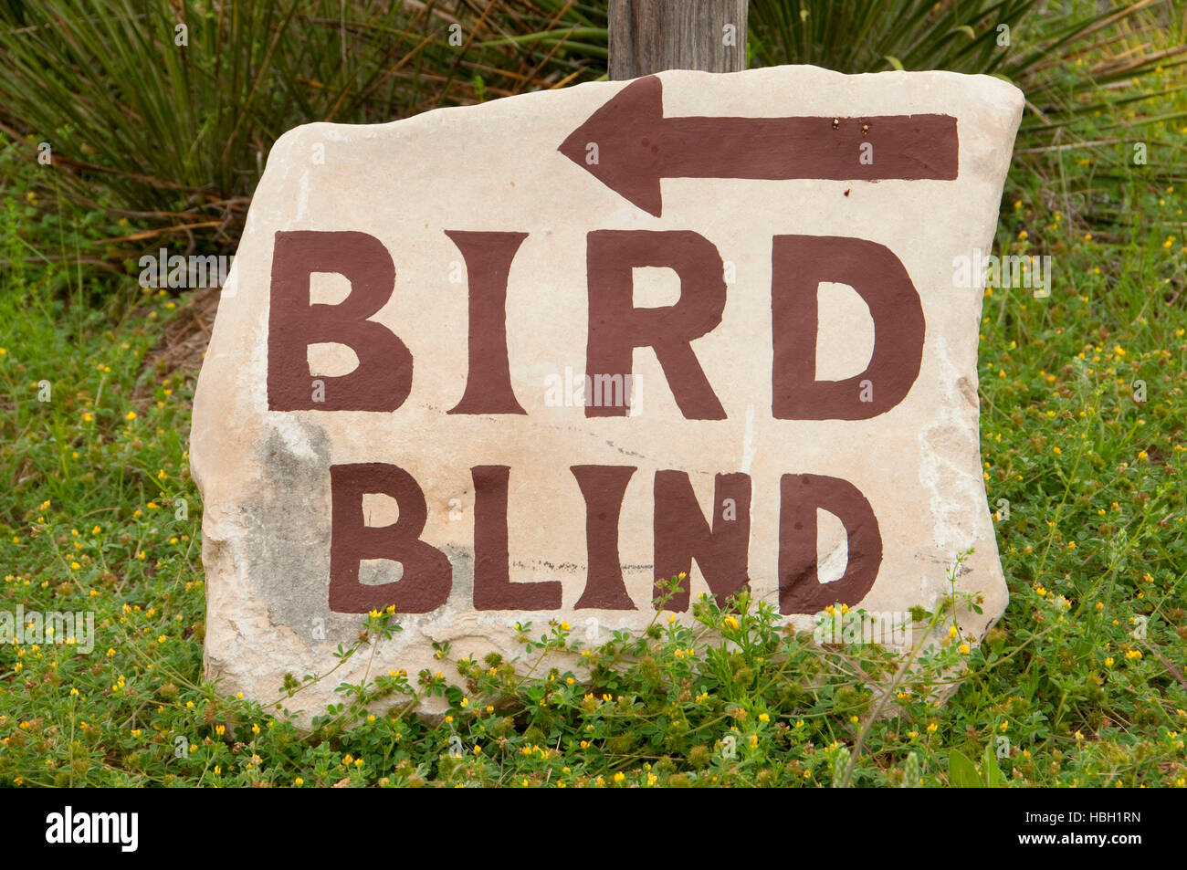 Bird blind sign hi-res stock photography and images - Alamy