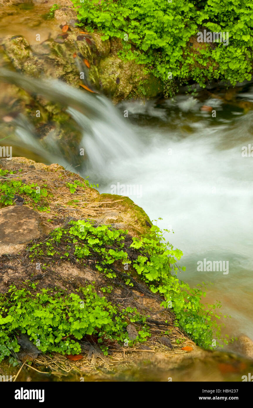Doeskin Branch Creek cascade, Doeskin Ranch UnitBalcones Canyonlands