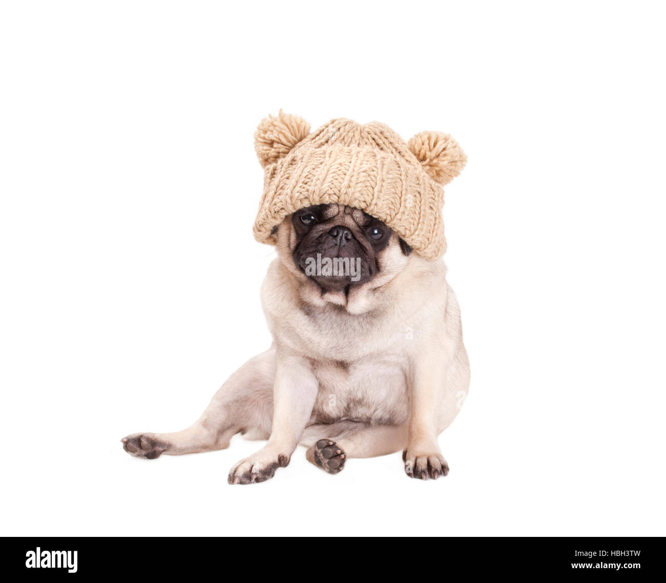 Pugs winter clearance hats