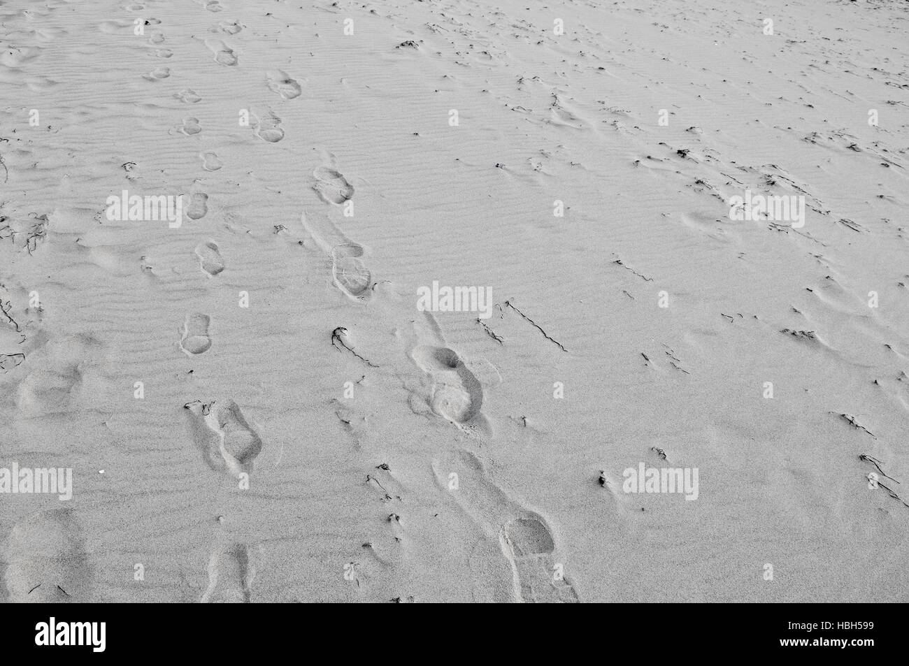 Footprints on the sandy beach Stock Photo