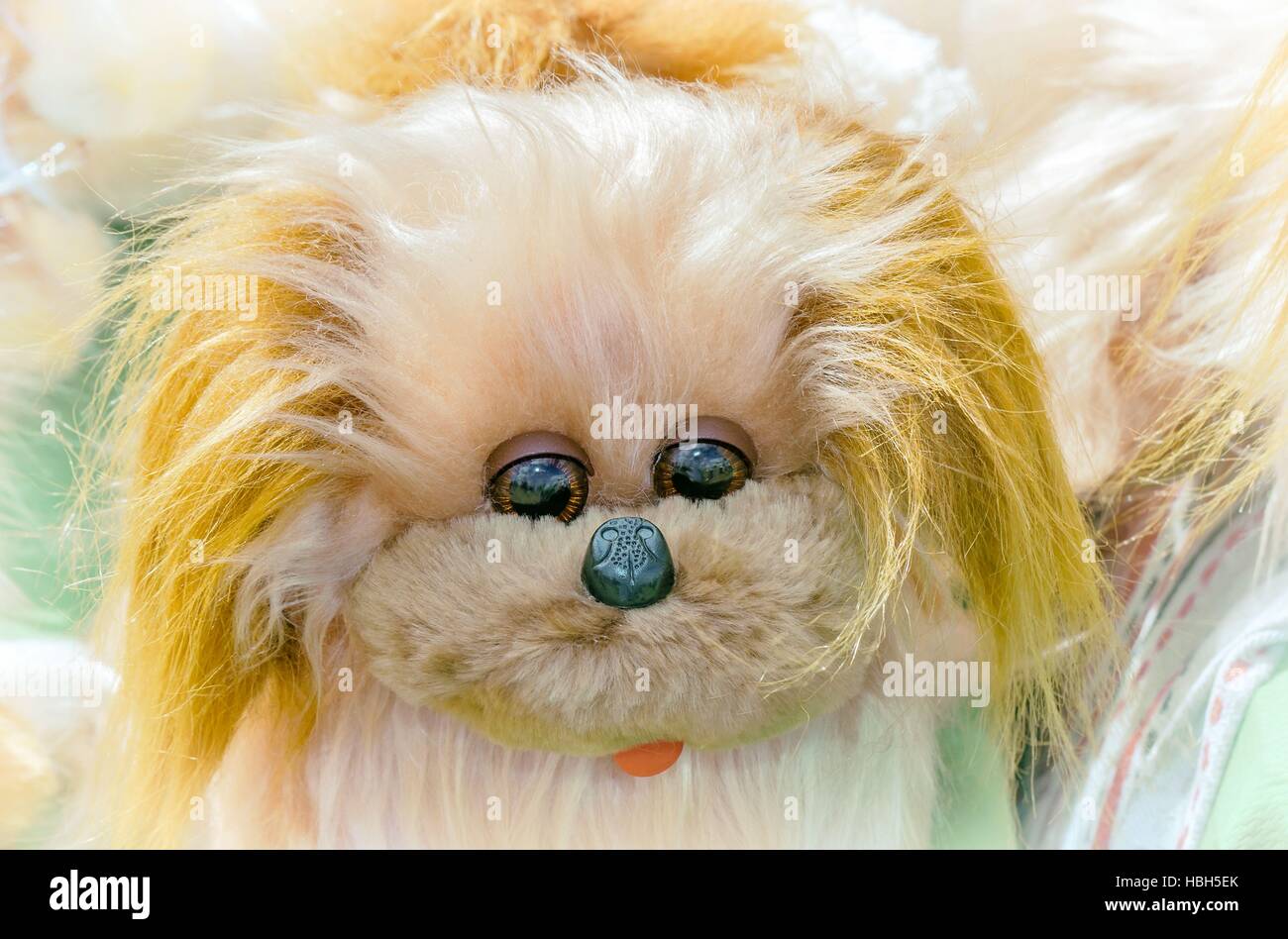 Children's soft toy: cute dog. Stock Photo