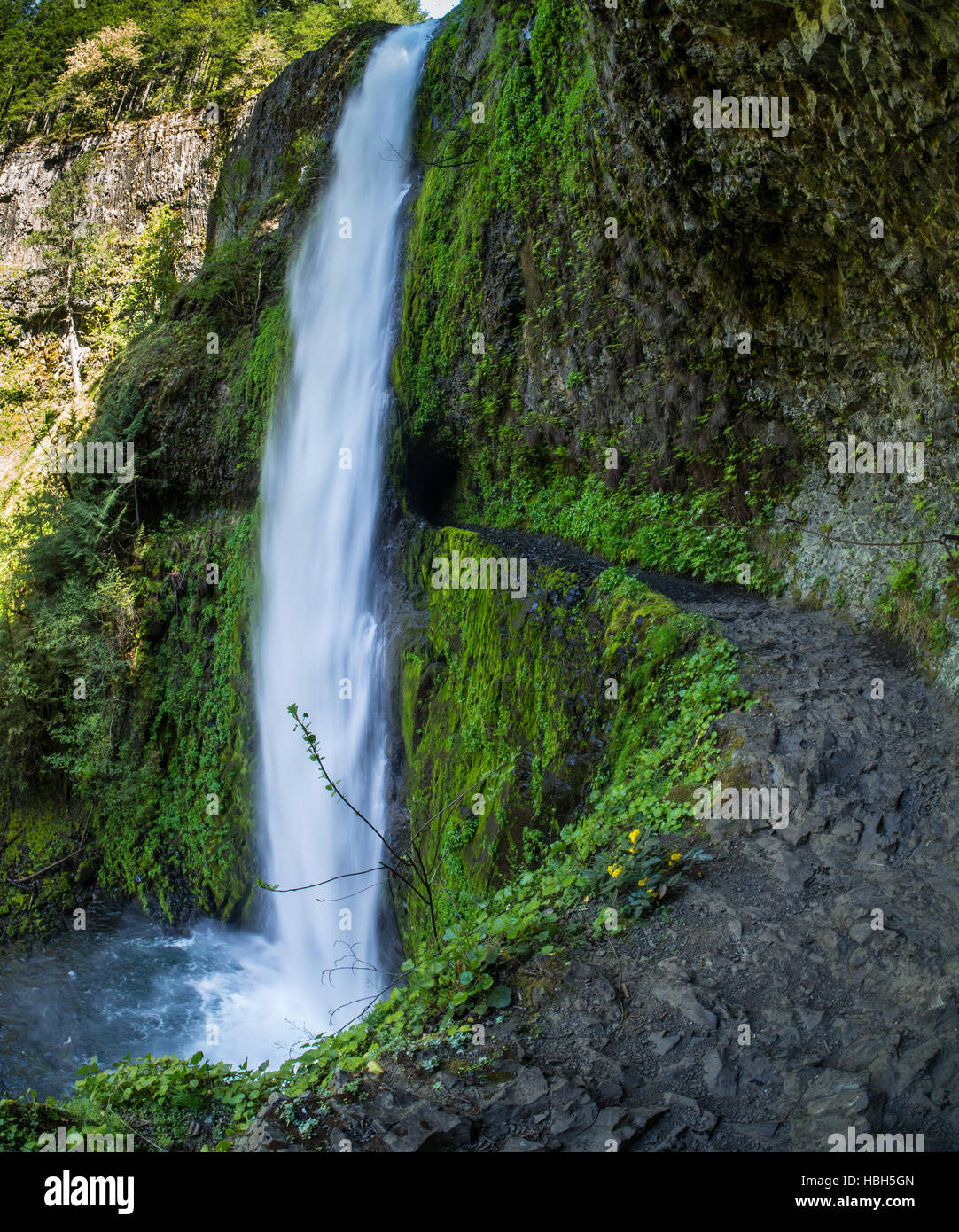 The blasted out path and the tunnel behind Tunnel Falls in the Columbia