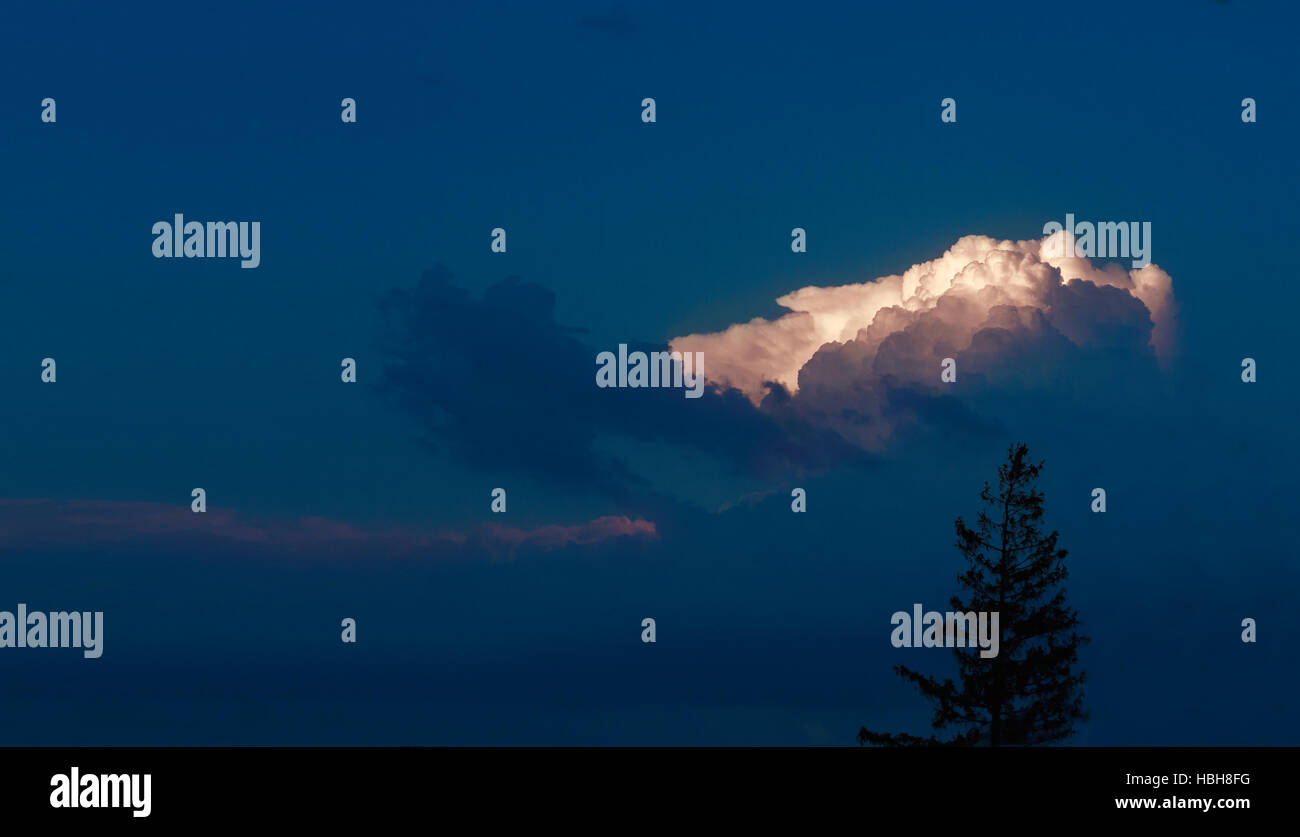 Clouds and silhouette of a tree Stock Photo - Alamy