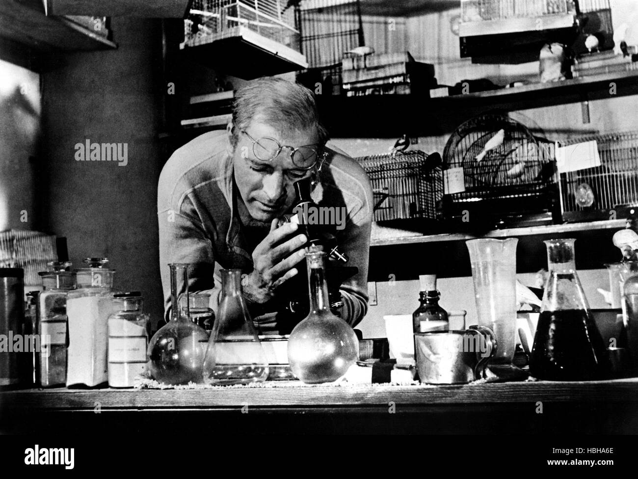 BIRDMAN OF ALCATRAZ, Burt Lancaster, 1962 Stock Photo - Alamy