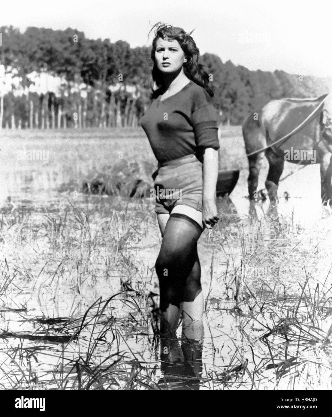BITTER RICE, (aka RISO AMARO), Silvana Mangano, 1949 Stock Photo - Alamy