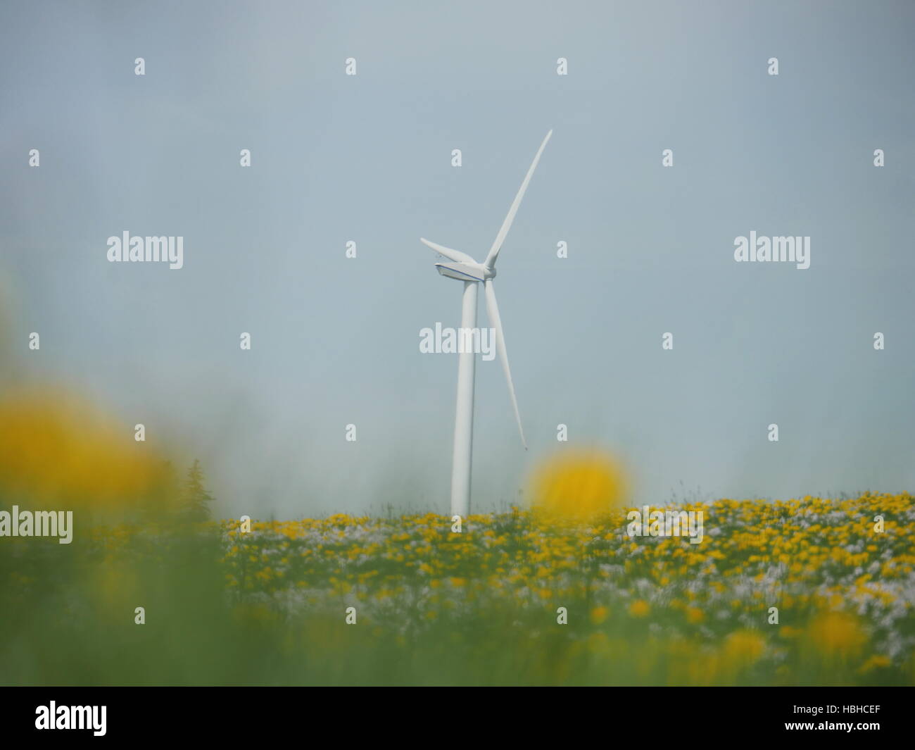 Meadow With Wind Power Plant Stock Photo Alamy wind-power-pngs-for-free-download