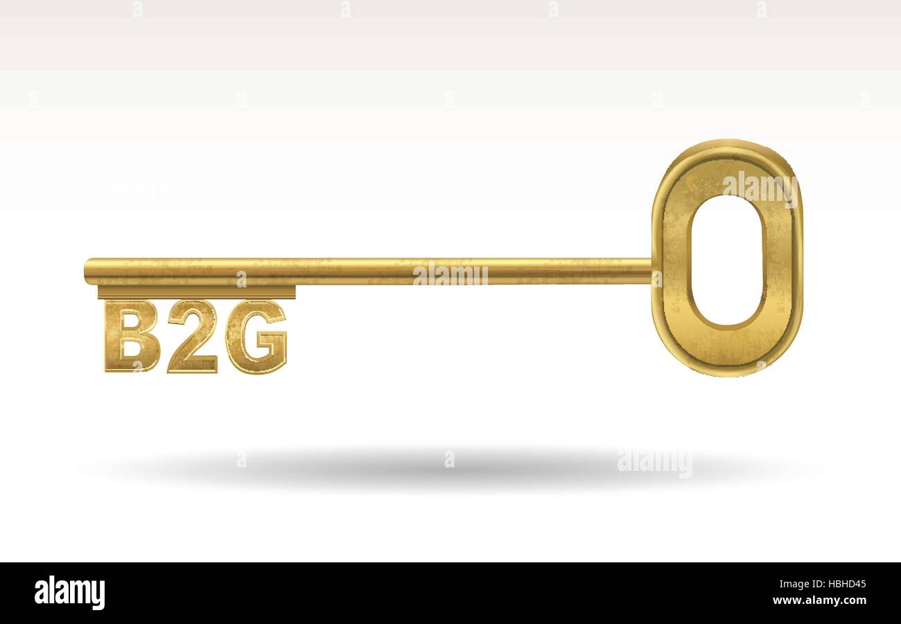 B2G - golden key isolated on white background Stock Vector