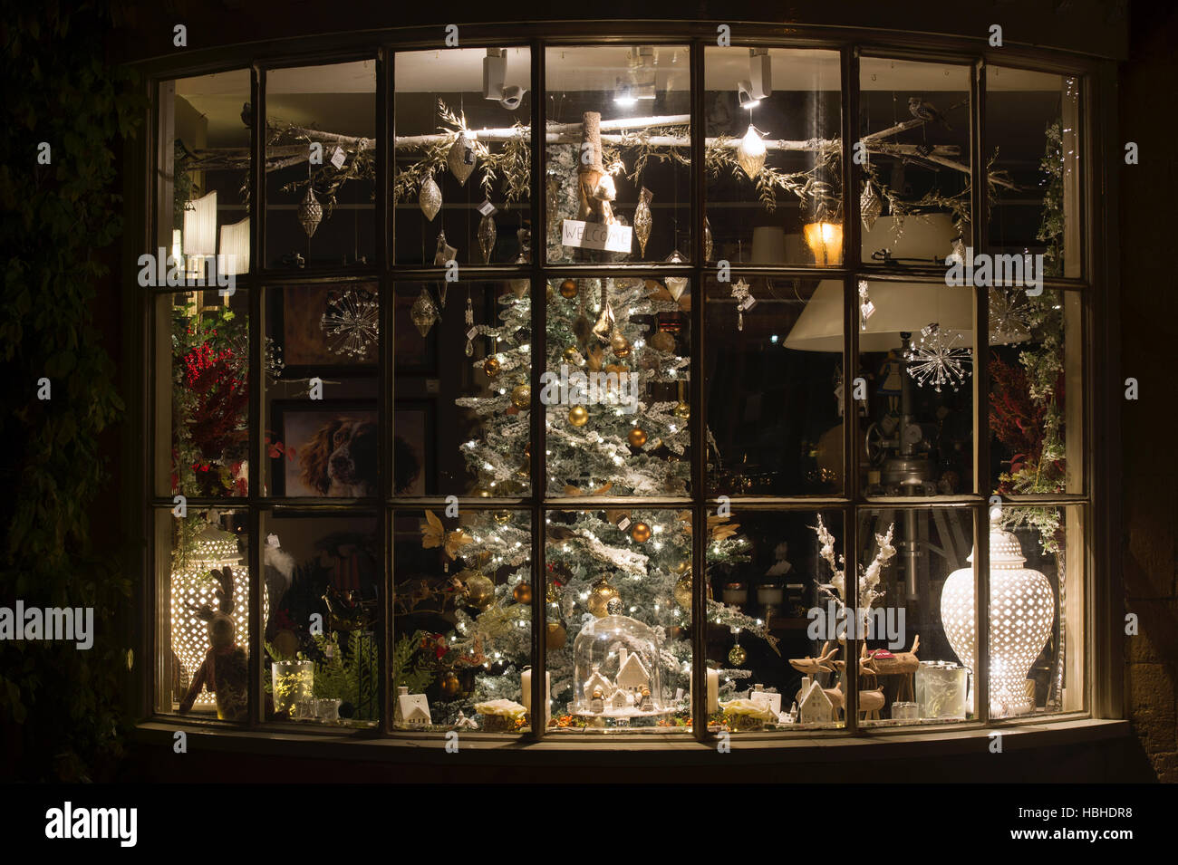 Christmas Tree Shop Display Window At Night Broadway Cotswolds Worcestershire England Stock Photo Alamy