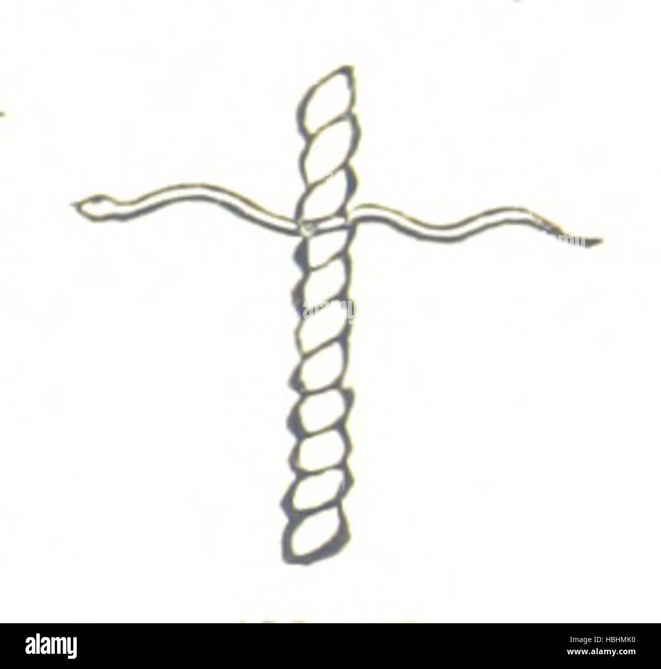 The illustration shows the map of early America, with regions