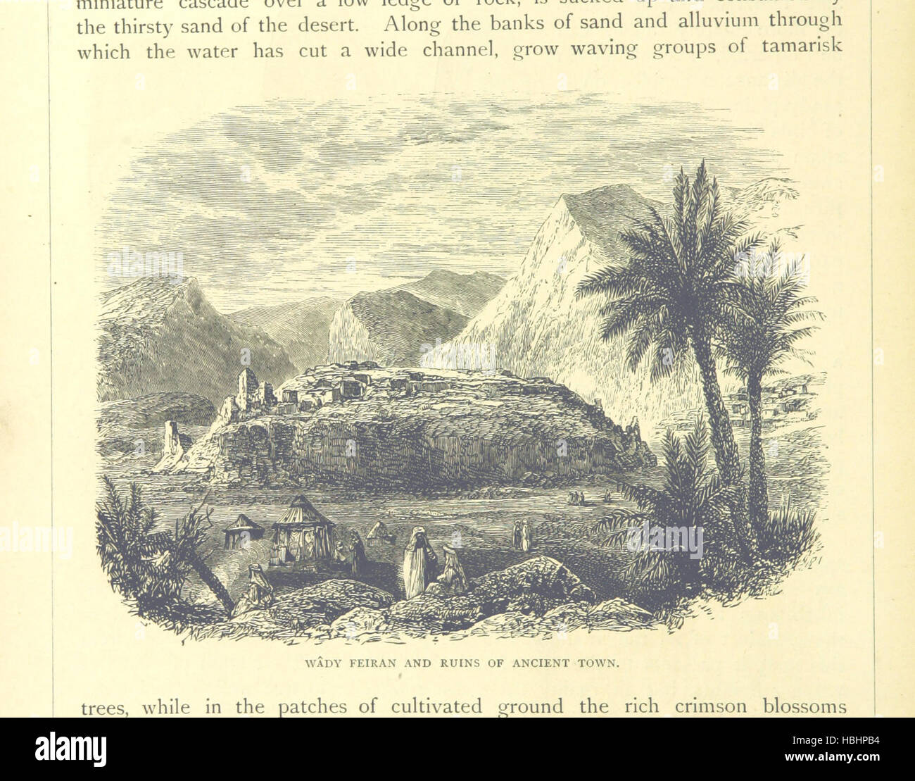 The Land of the Pharaohs. Egypt and Sinai: illustrated by pen and ...