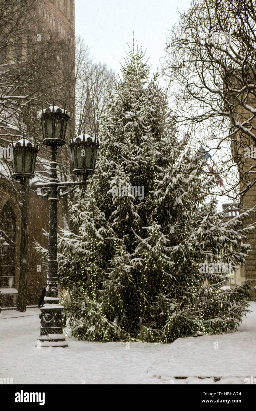 Big lantern and large Christmas tree in a city covered by snow Stock Photo