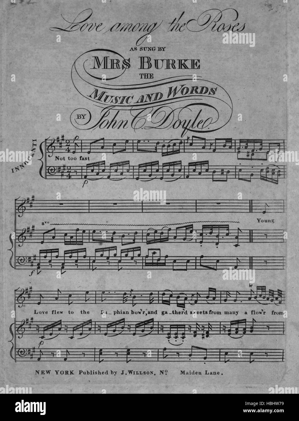 Sheet music cover image of the song 'Love Among the Roses', with original authorship notes reading 'Music and Words by John C Doyle', United States, 1900. The publisher is listed as 'J. Willson, No.    Maiden Lane', the form of composition is 'strophic with chorus', the instrumentation is 'piano and voice', the first line reads 'Young Love flew to the Paphian bow'r, and gather'd sweets from many a flow'r', and the illustration artist is listed as 'None'. Stock Photo