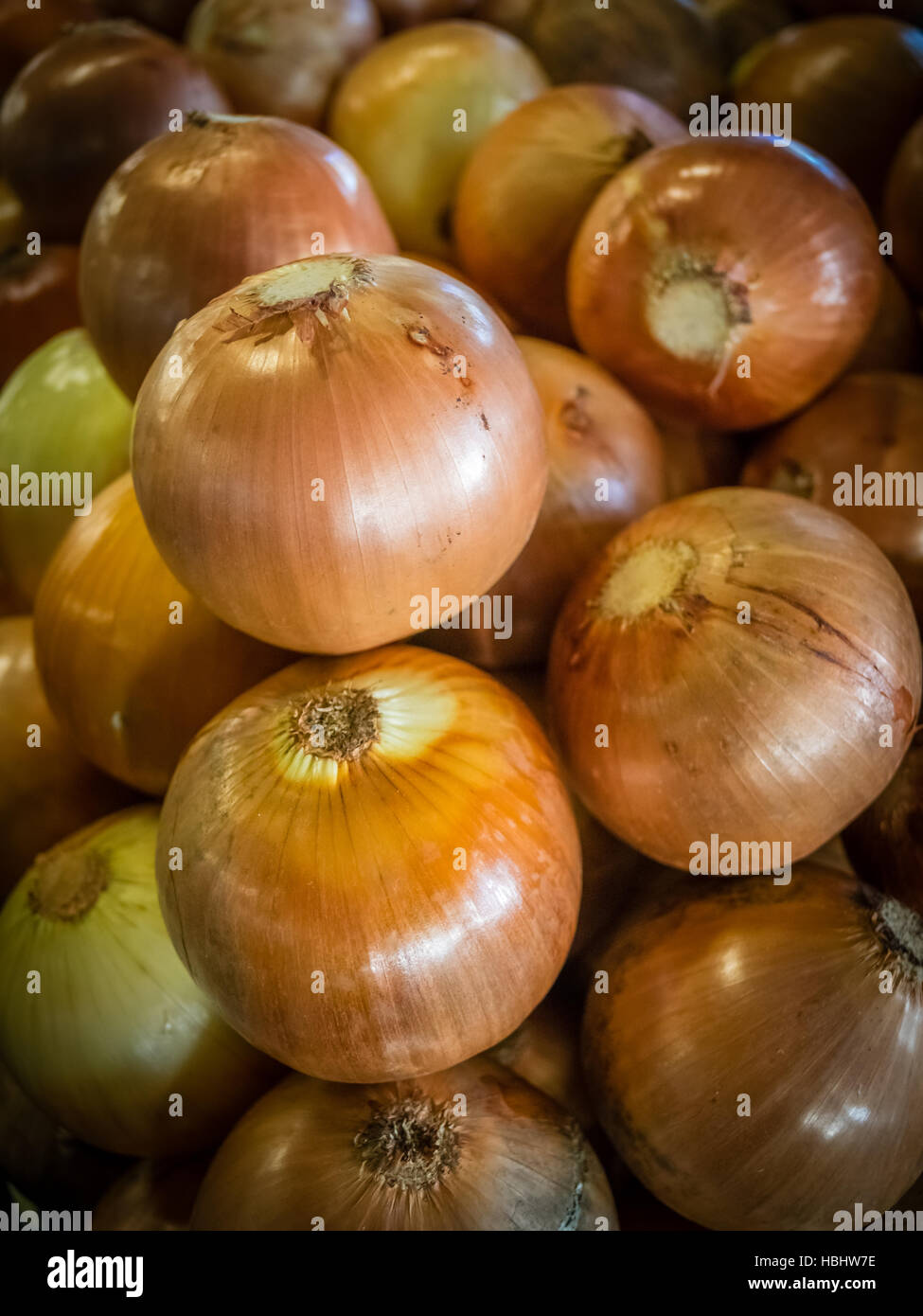 Onions for sale Stock Photo Alamy