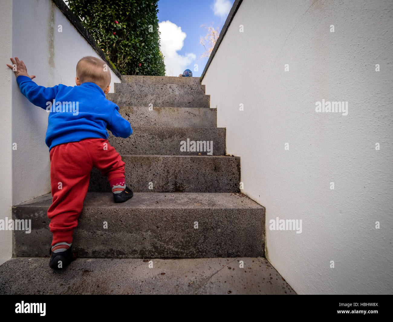 little boy climbing steps stock photo 127626826 alamy