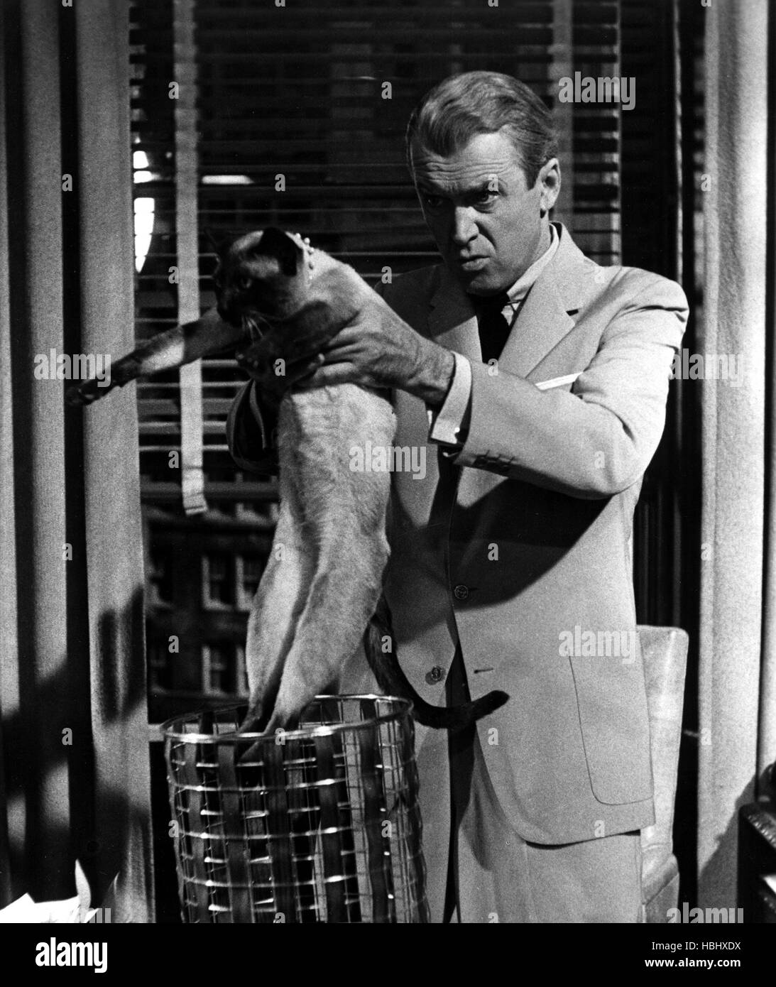BELL, BOOK AND CANDLE, James Stewart, 1958 Stock Photo Alamy