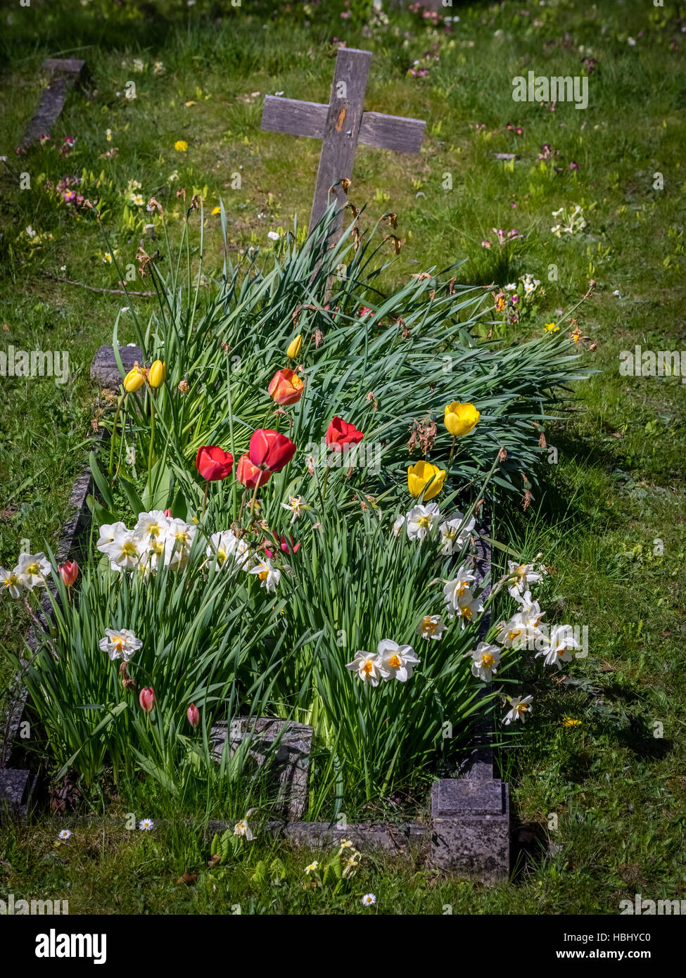 Forgotten grave Stock Photo