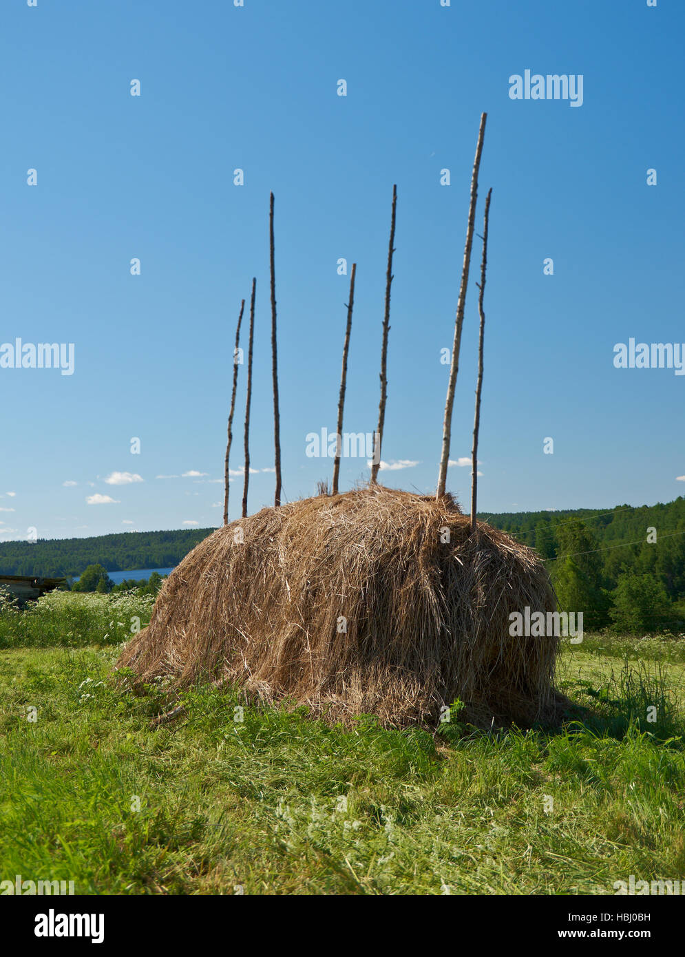 The big haystack on the meadow Stock Photo - Alamy