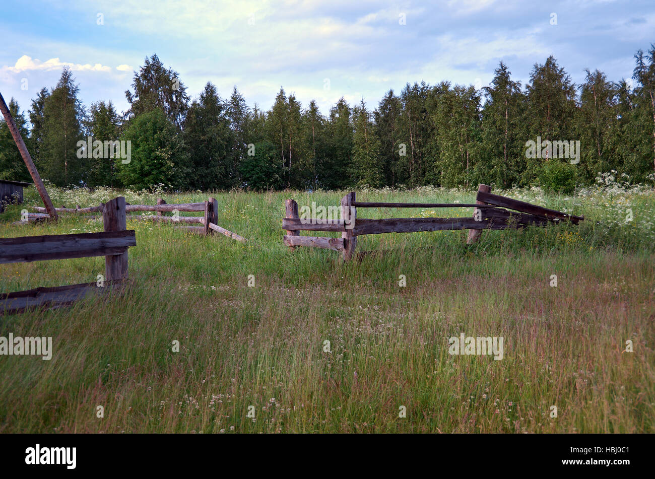 Old wooden fence flowers hi-res stock photography and images - Alamy