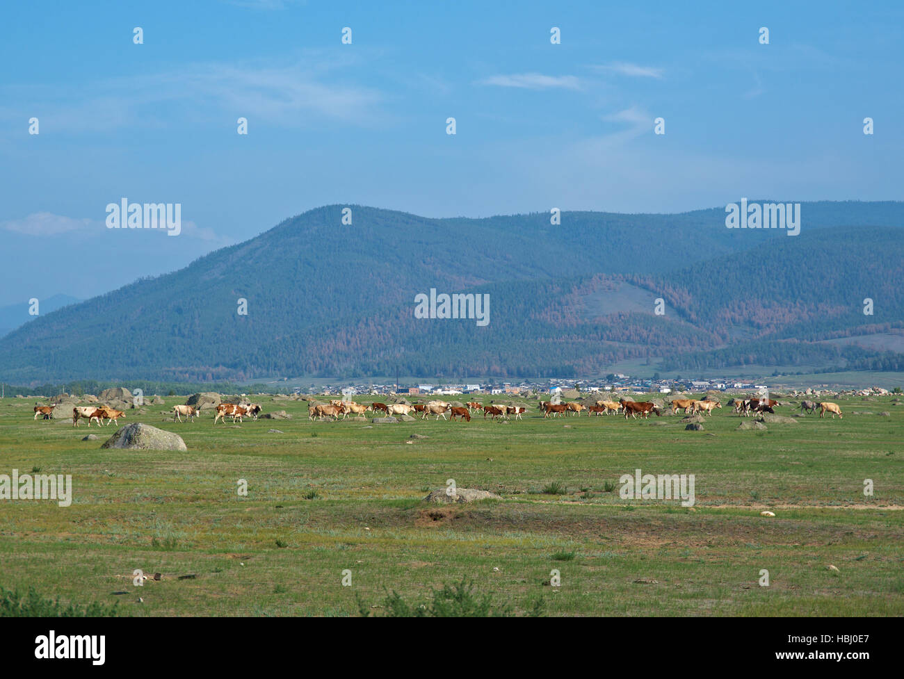 Ininsky rock garden Stock Photo - Alamy