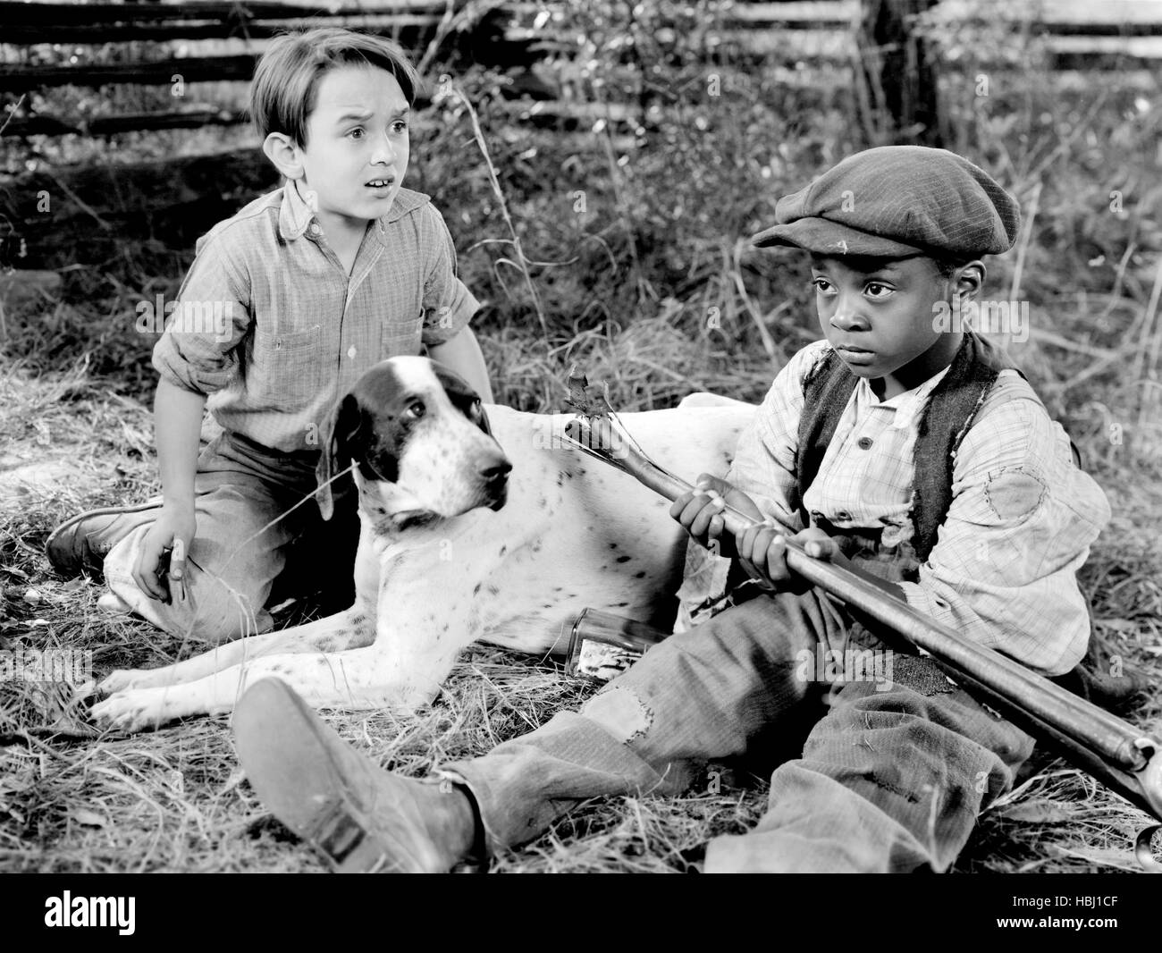 THE BISCUIT EATER, Billy Lee, Cordell Hickman, 1940 Stock Photo Alamy